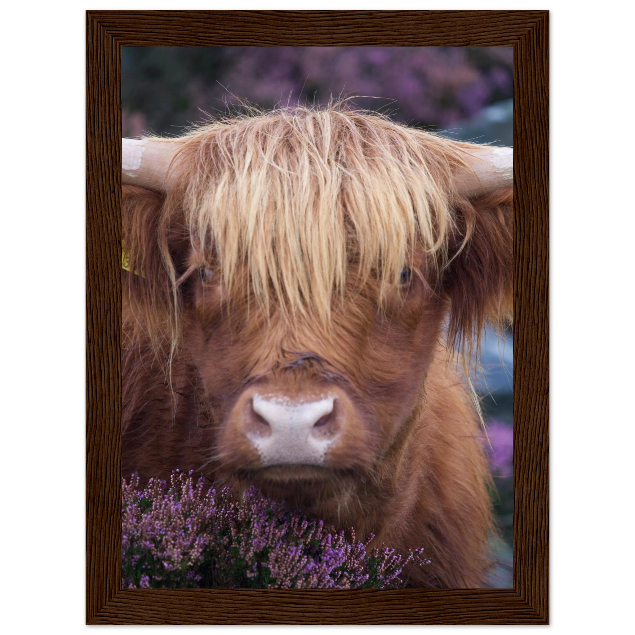 3b7fd245-262c-4c3a-9e93-c1bdd47867fb