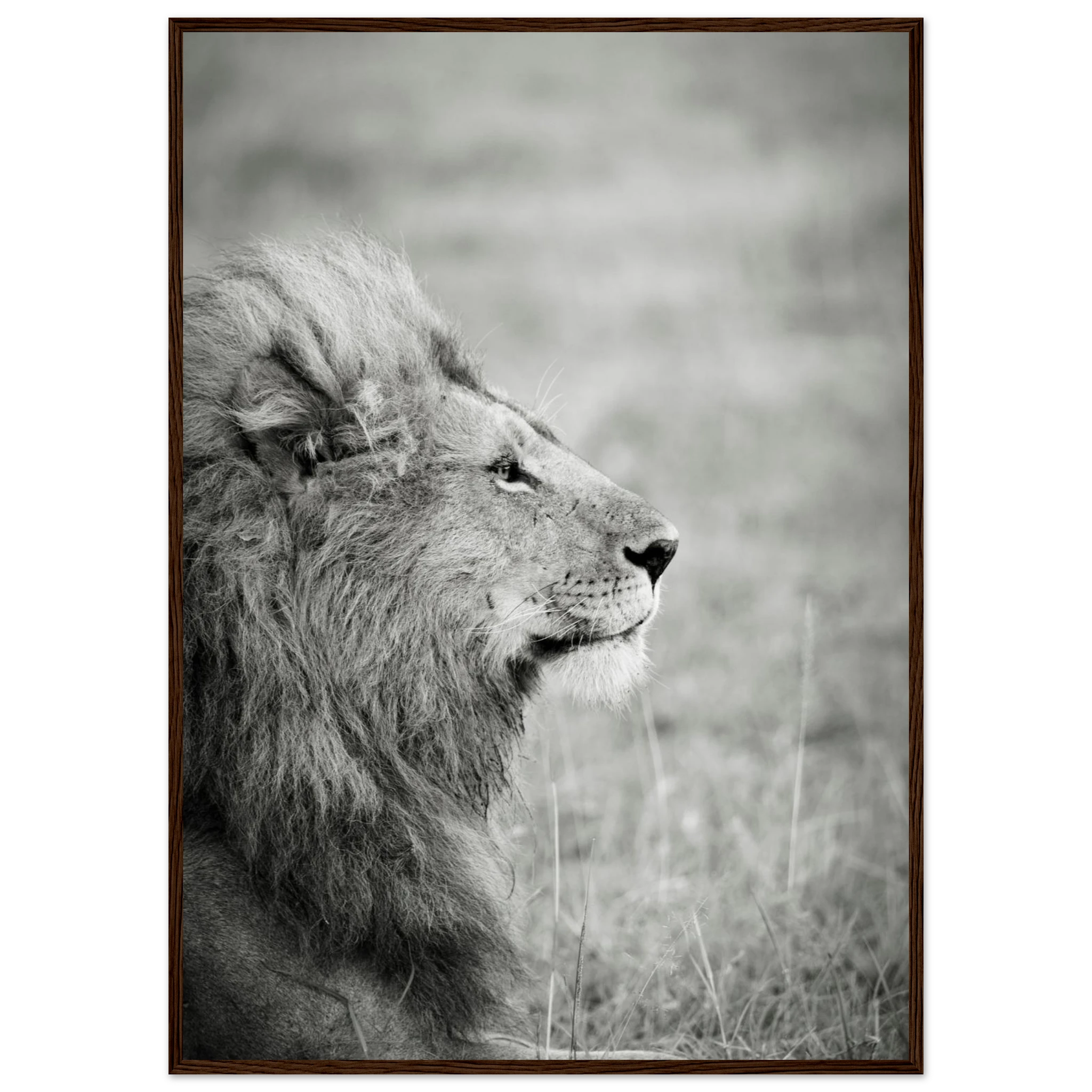 3b915134-0852-4d7c-9f55-dc7d3f1a380f