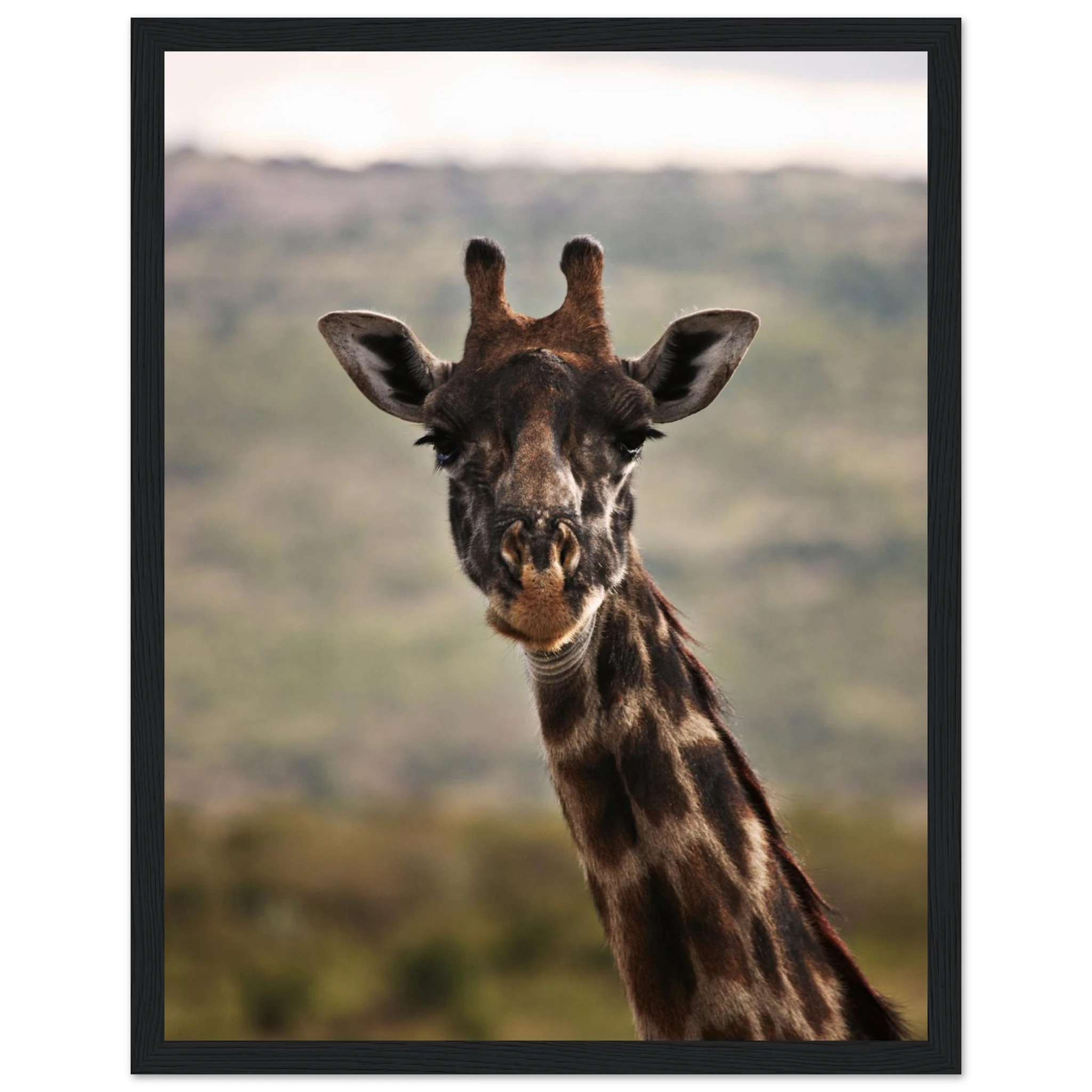 3b9c28db-3f61-4a41-8101-10c6d7aa0043