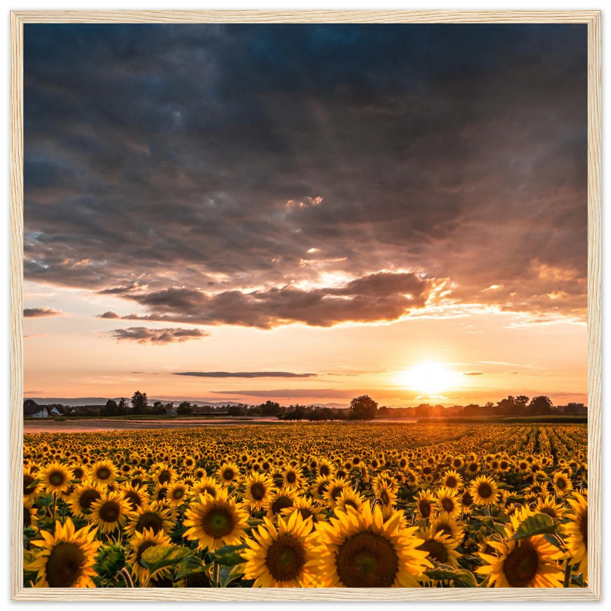 3ba24f71-1e2f-406b-a627-cc38d70ca7cc