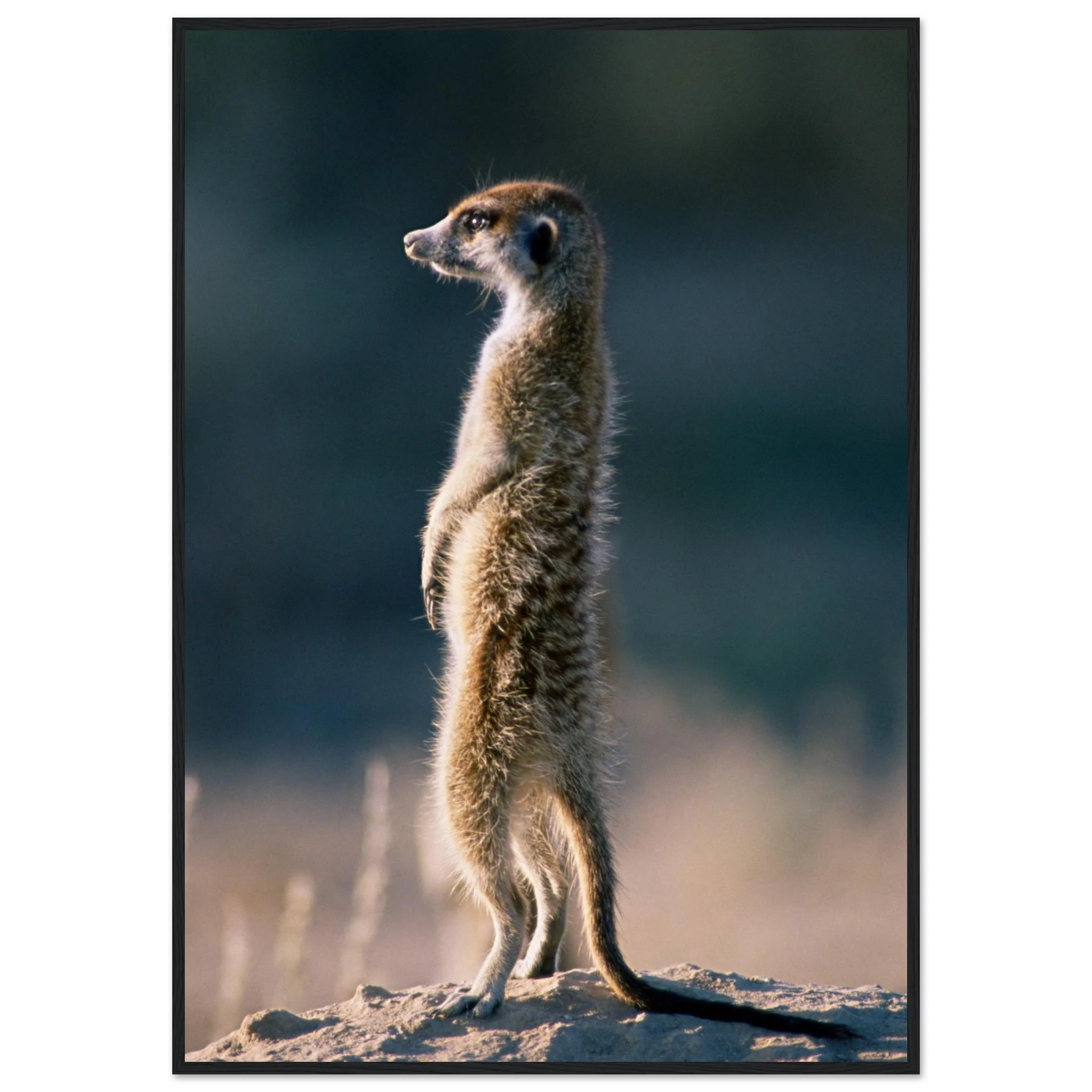 3ba380b6-9c37-450b-ba60-f758f1a4329c