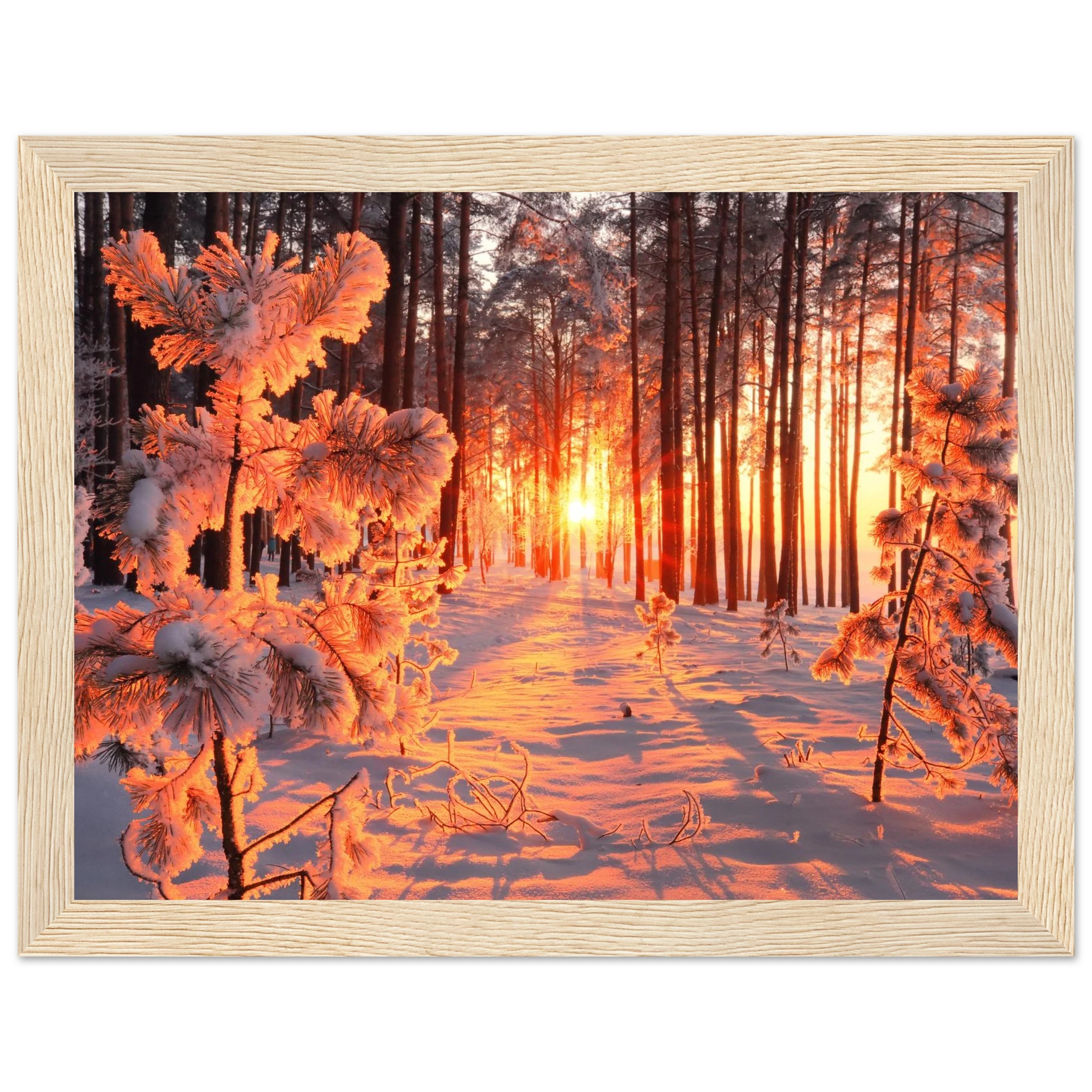 3bbafc48-1afe-4816-9be4-57f5a80ee750