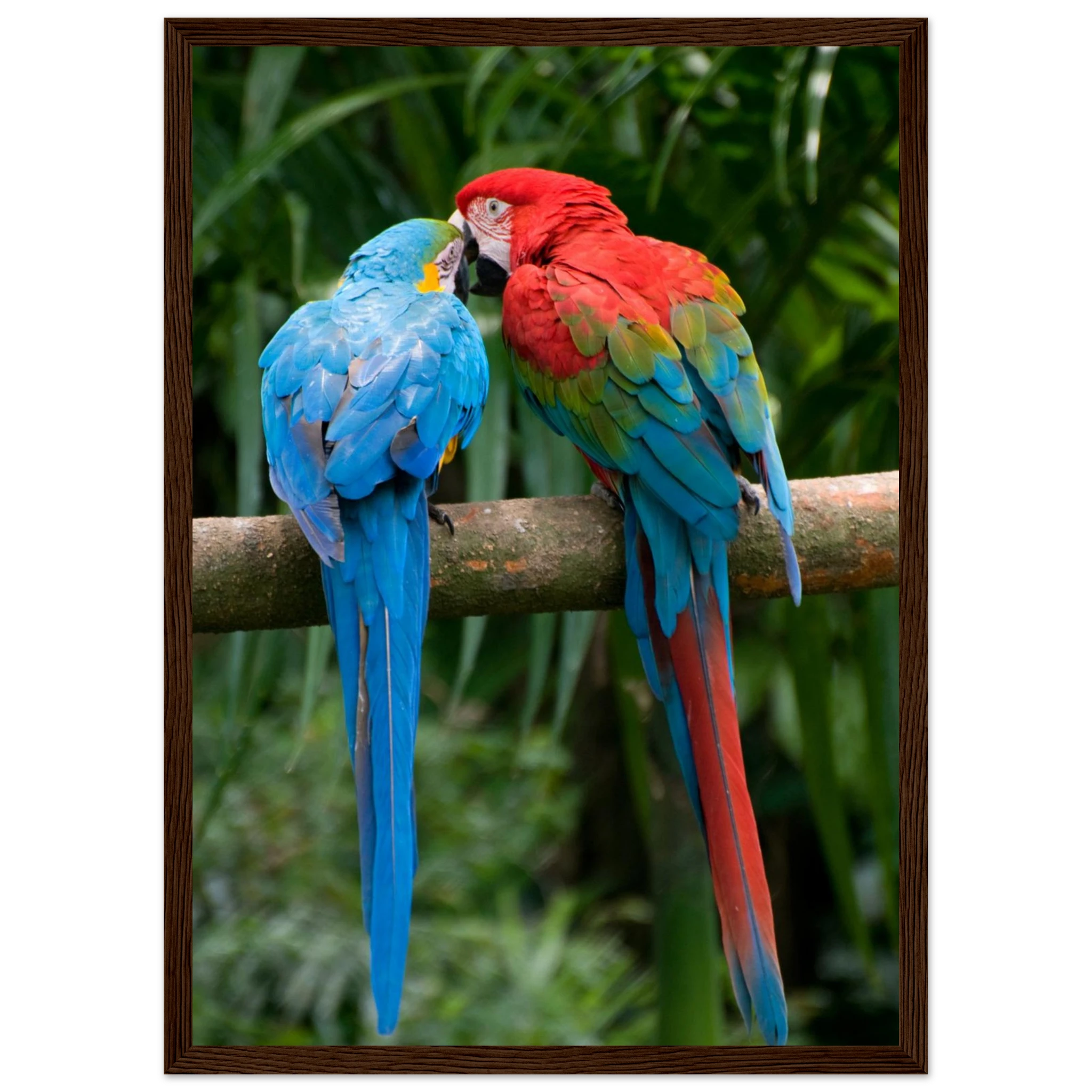 3bbd4738-62c2-4517-9fee-5503ad6c0447