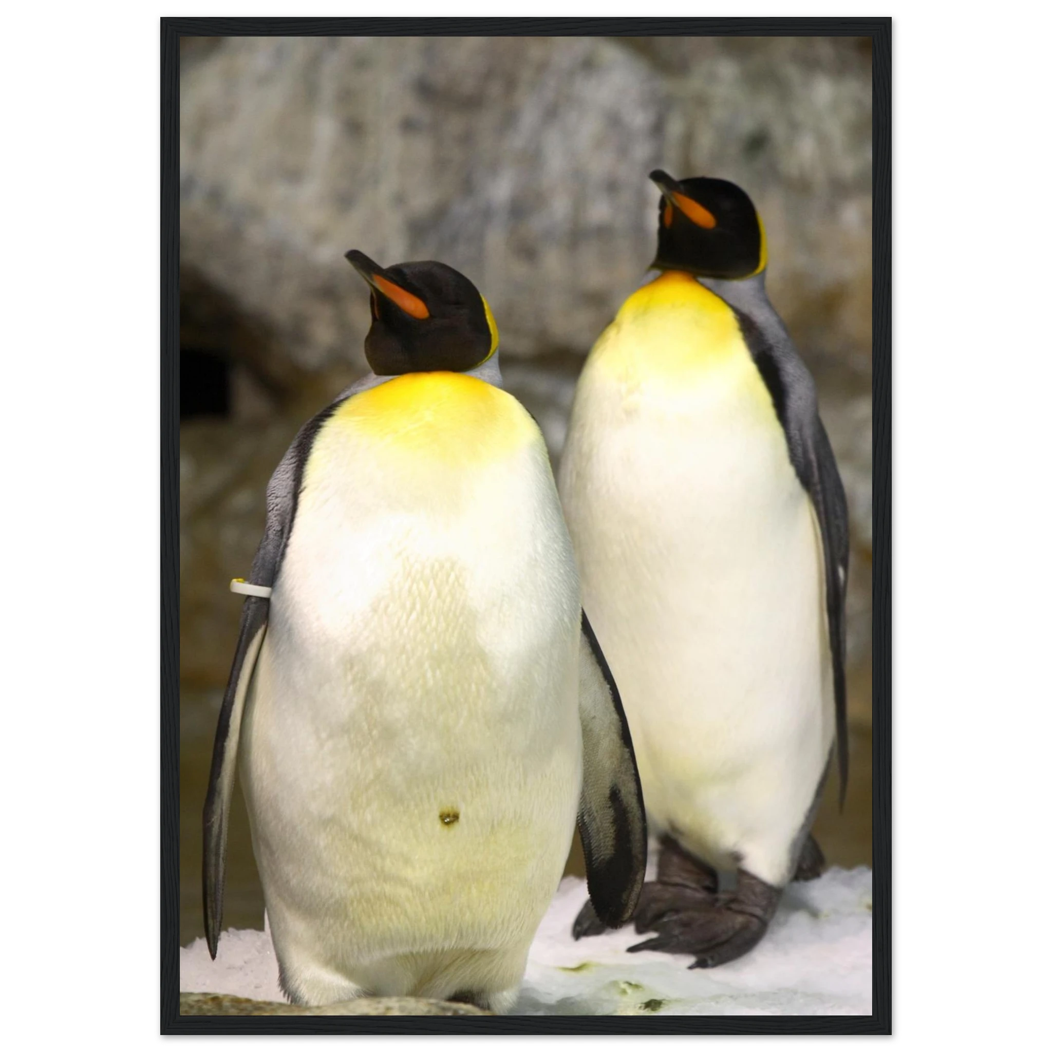 3bcb460b-c9ae-4f25-aa97-a71130db09d9