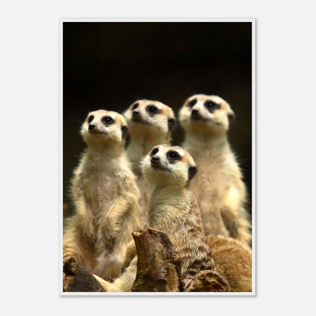 3be7230a-a767-4652-a52c-0b0d837214b7