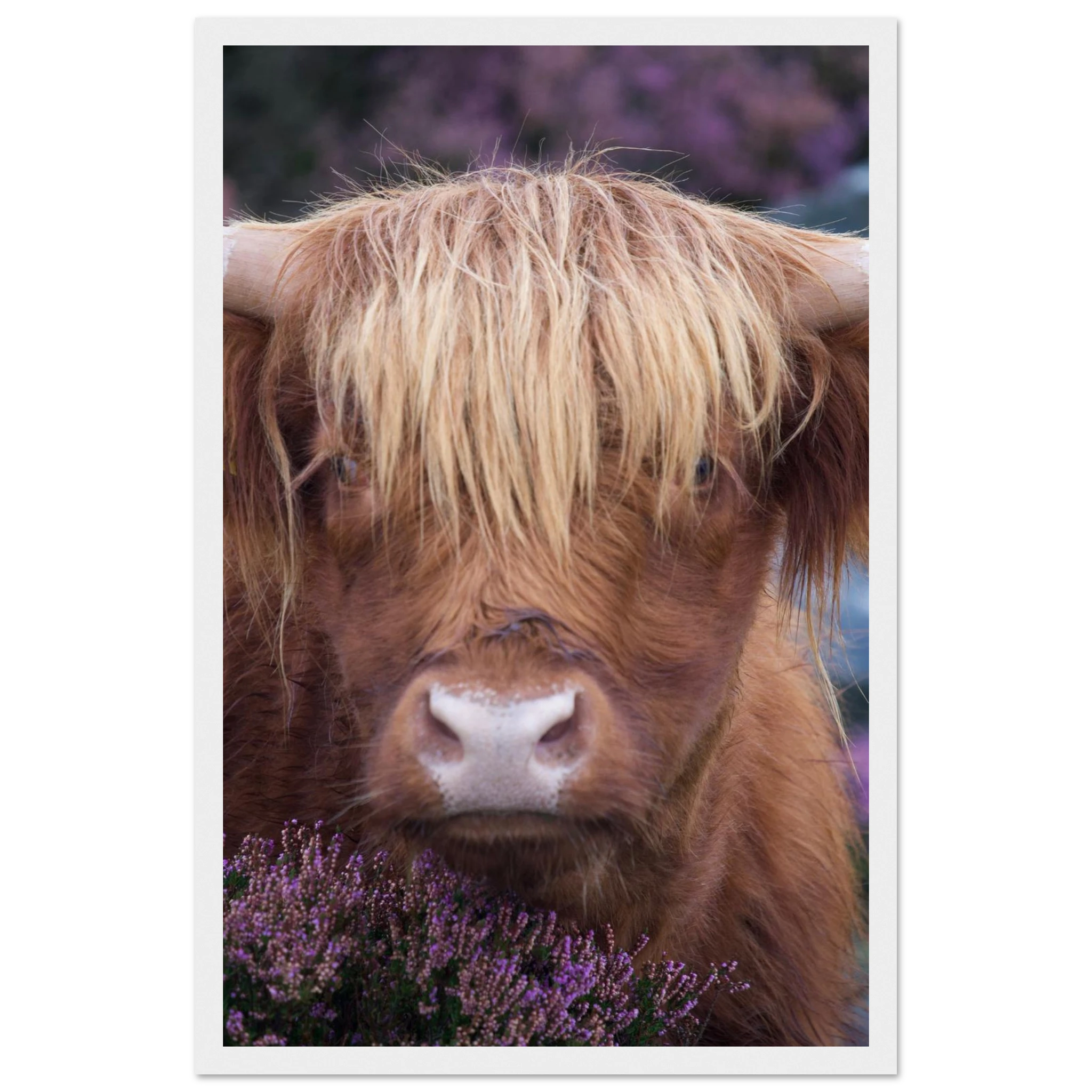 3bfd6345-ad20-4bff-9ad5-81e1546acae3