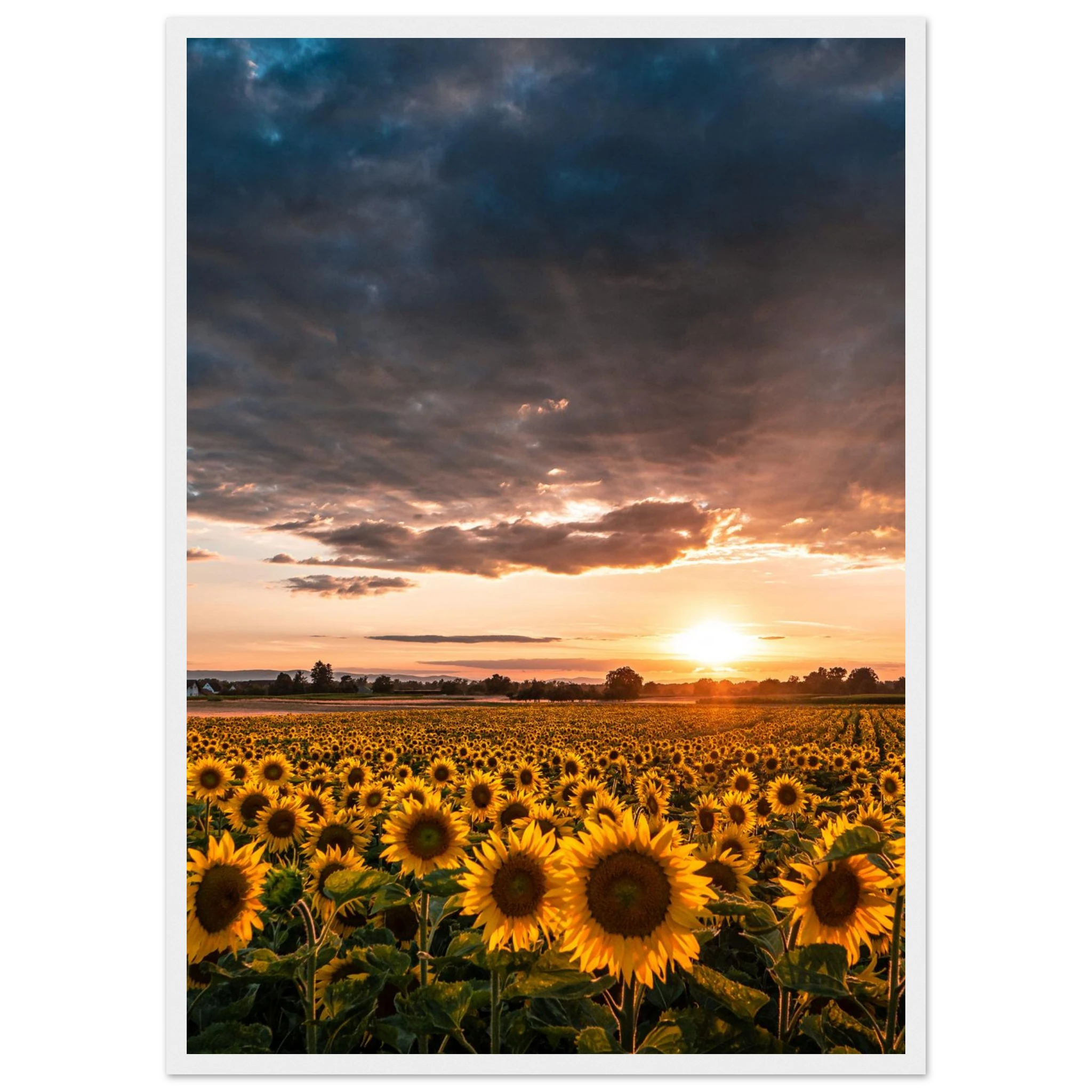 3c31c1cf-905f-4fc0-a558-29254b4463f8