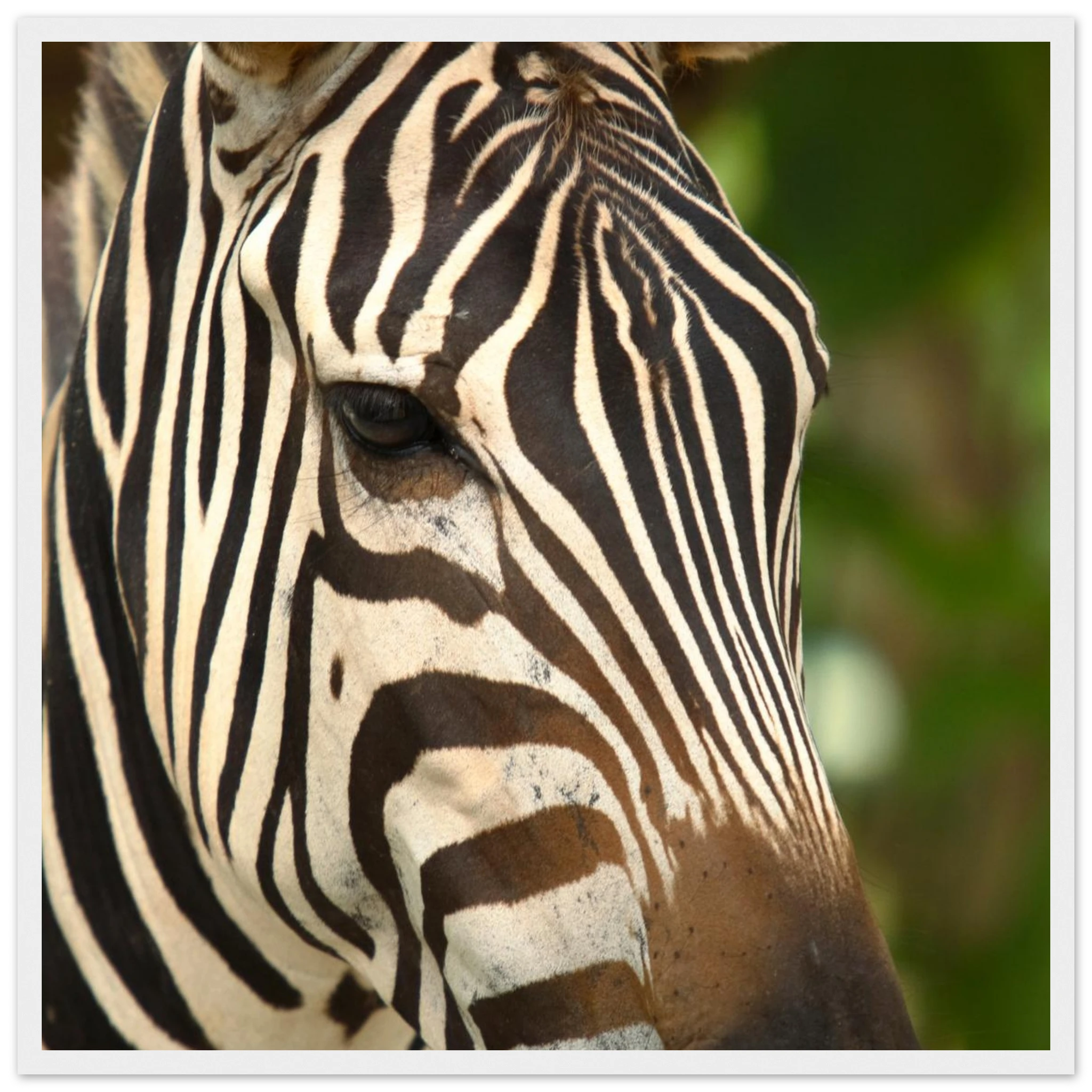 3c4daf78-17ab-48da-8bb7-06bb519ef03e