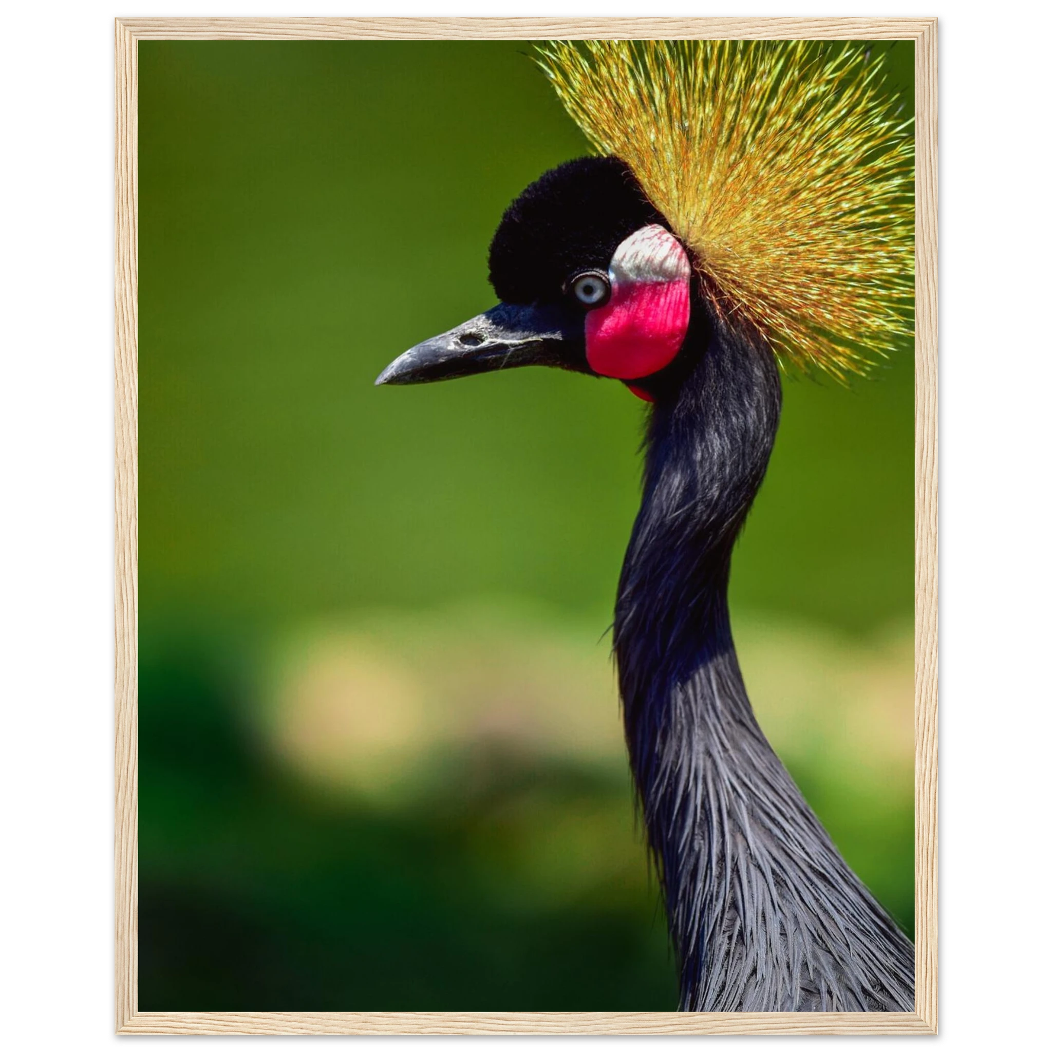 3c4eeec9-4521-440f-a6ad-a9a12bdfc0fd