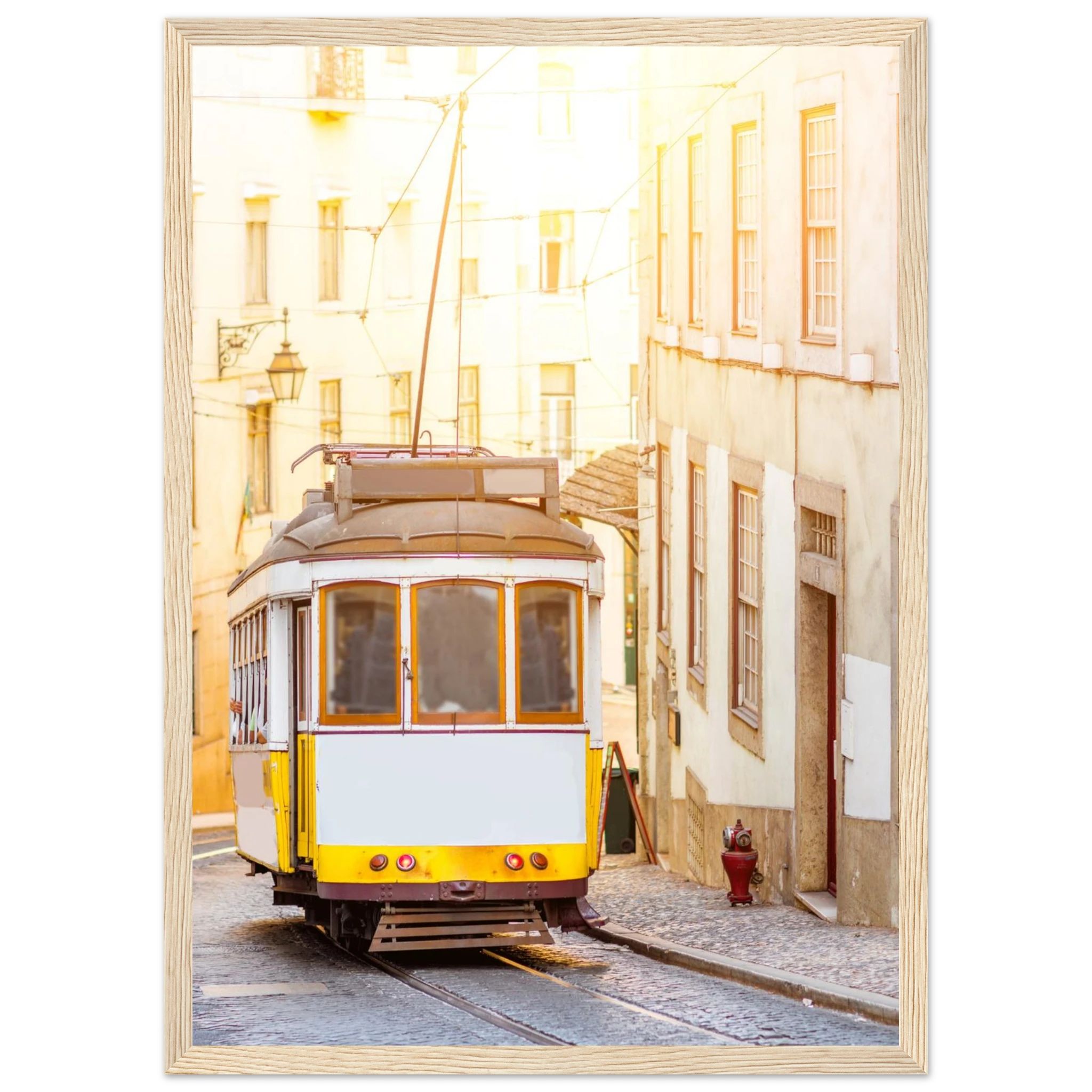 3c5dbb2f-2889-4a59-bff8-61cd92ebfd92