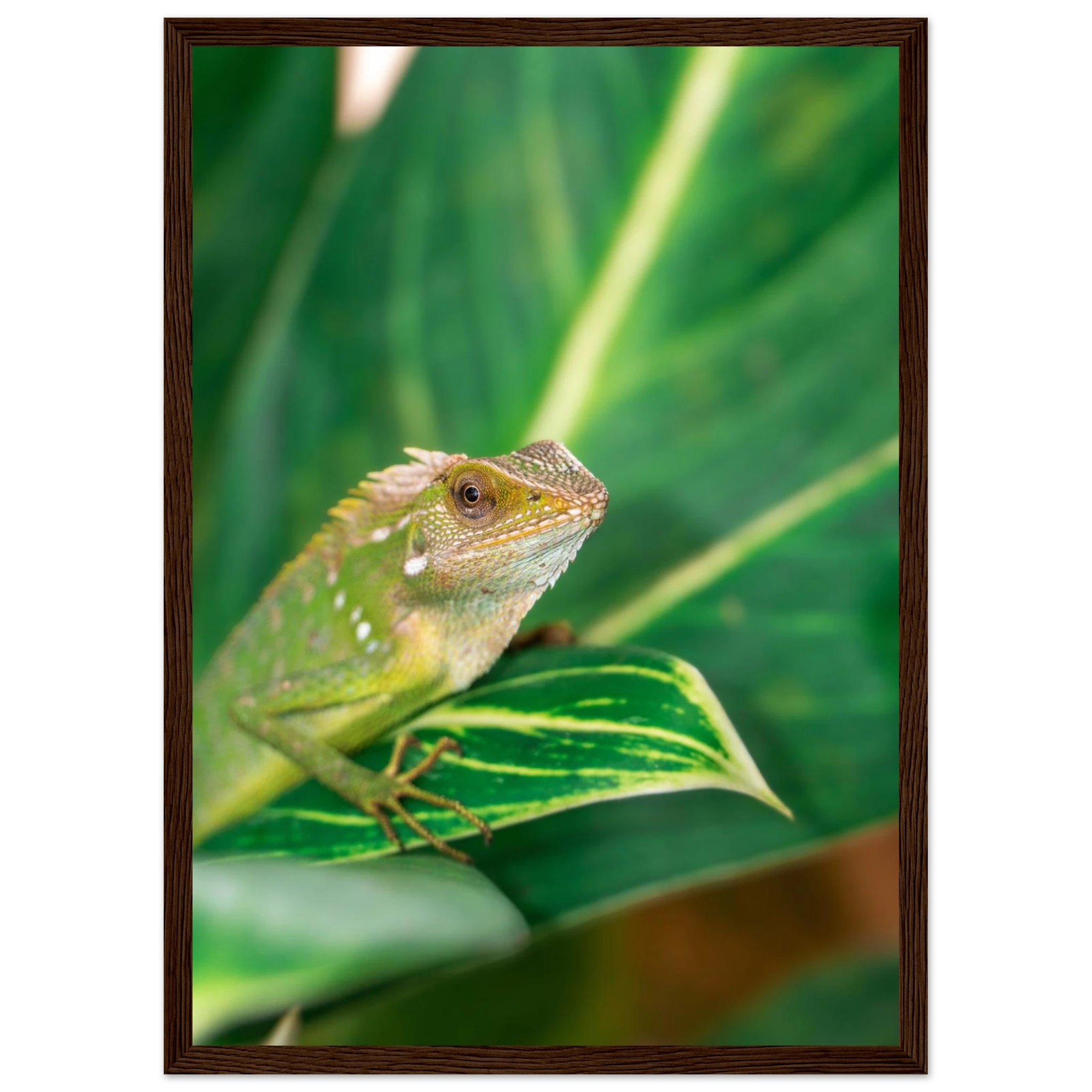 3c6cd099-6688-4778-83f1-0049d5d464ea