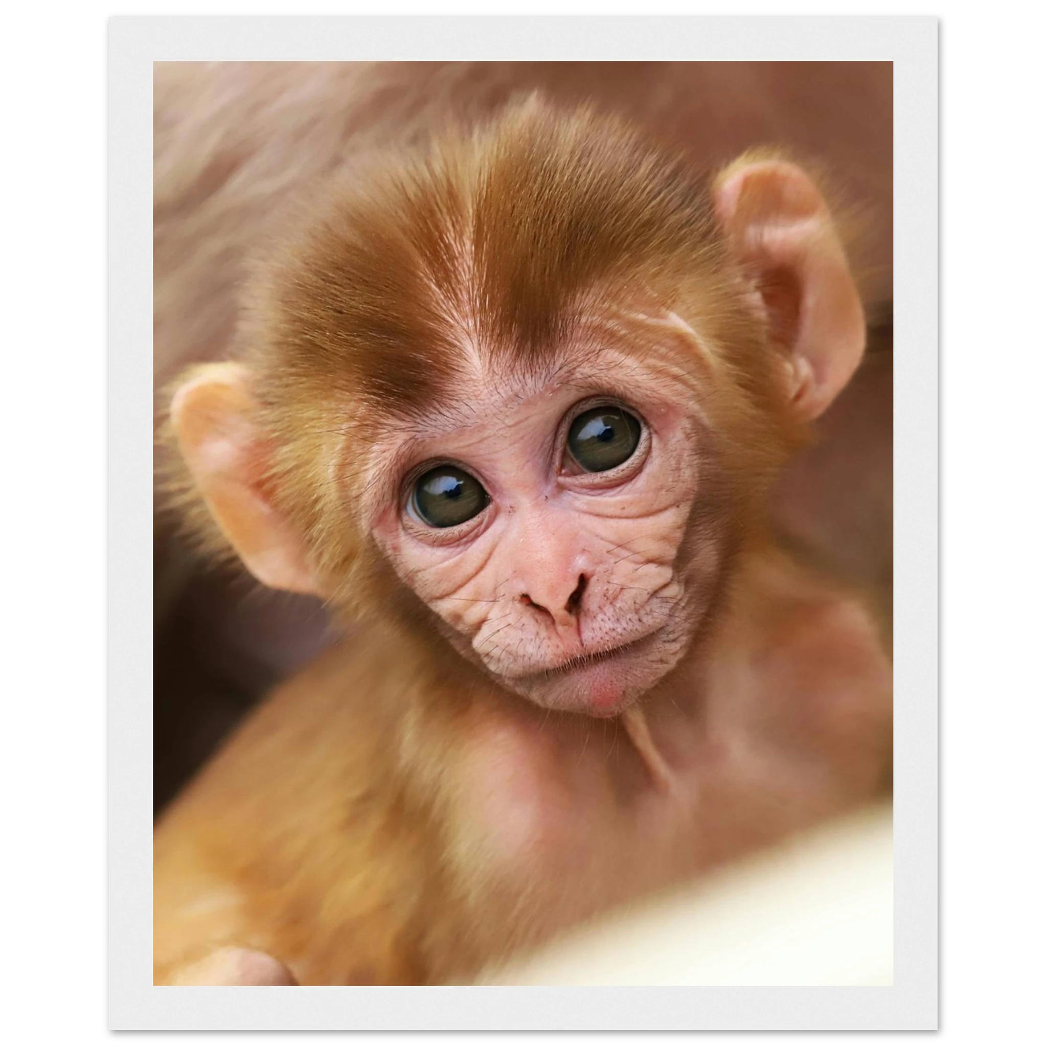 3c8da44c-7c84-4e99-bb7f-1335893d89d0