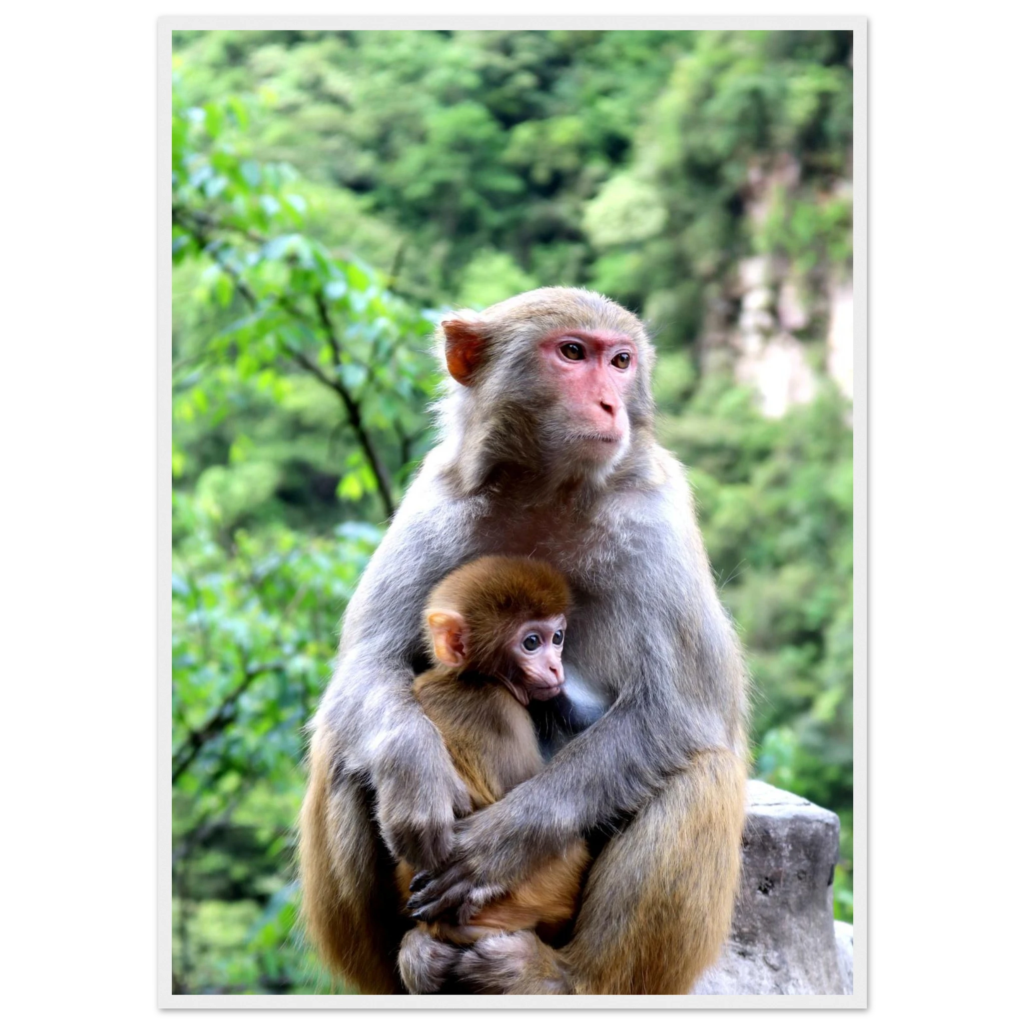 3cca54f3-f492-4f28-b4b7-52aa1244333d