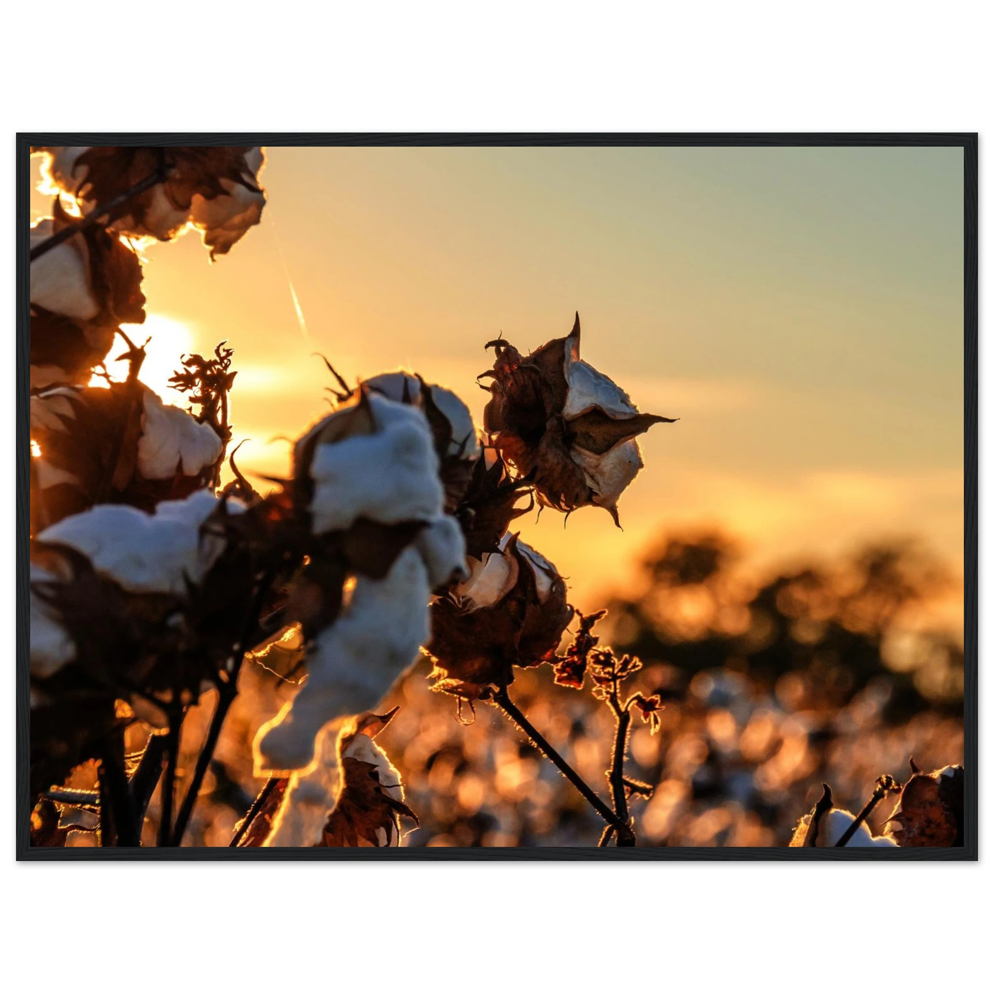 3cd6f50c-9085-4f8e-87f1-bde2959dbd1a