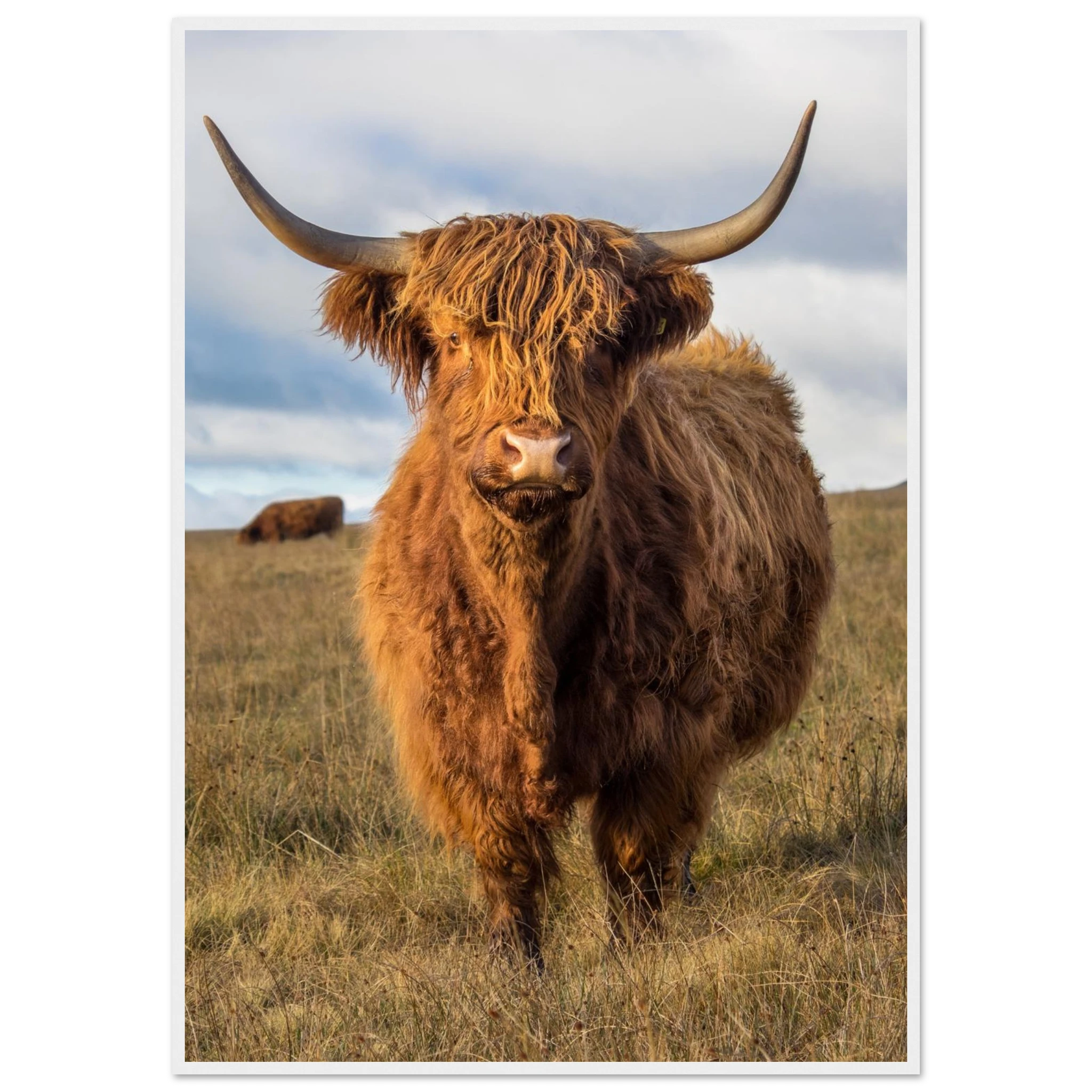 3ce13d3f-d8cb-4609-8716-e41adf736cf9