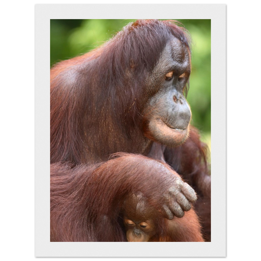 3ce8529d-ada3-4755-b25a-e92ec853ee8d