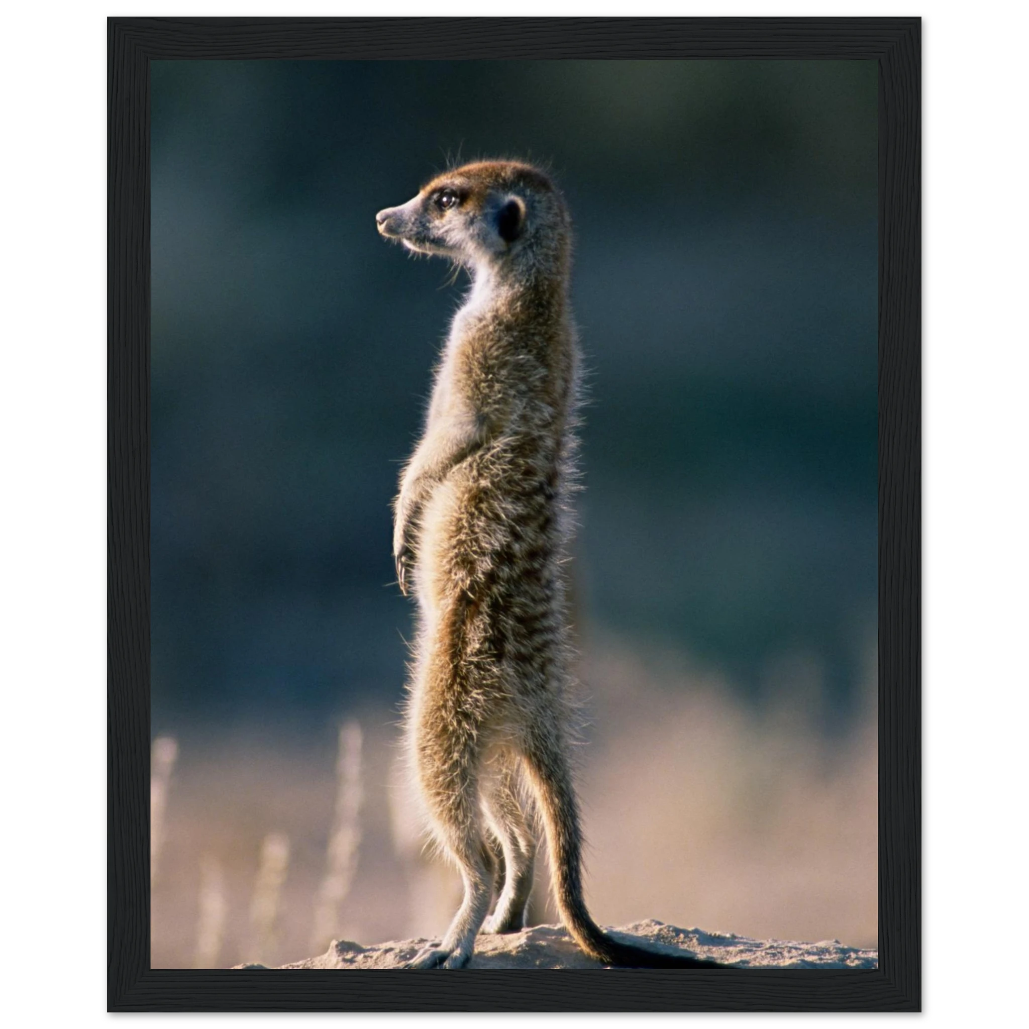 3ceefe28-3243-4dbb-bc91-6c1028b67ad9