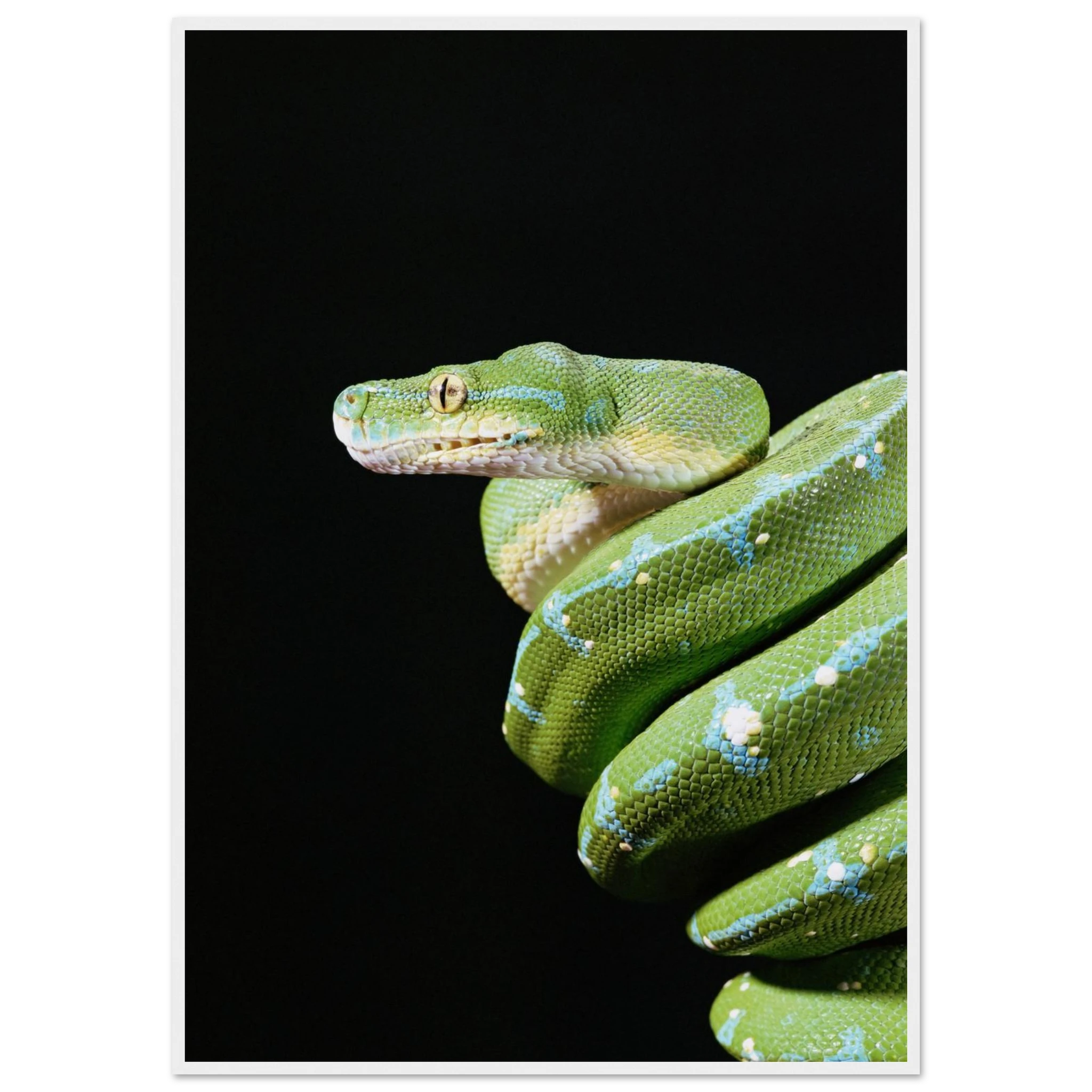 3d119357-41c8-4e11-b40a-397d91db7c91