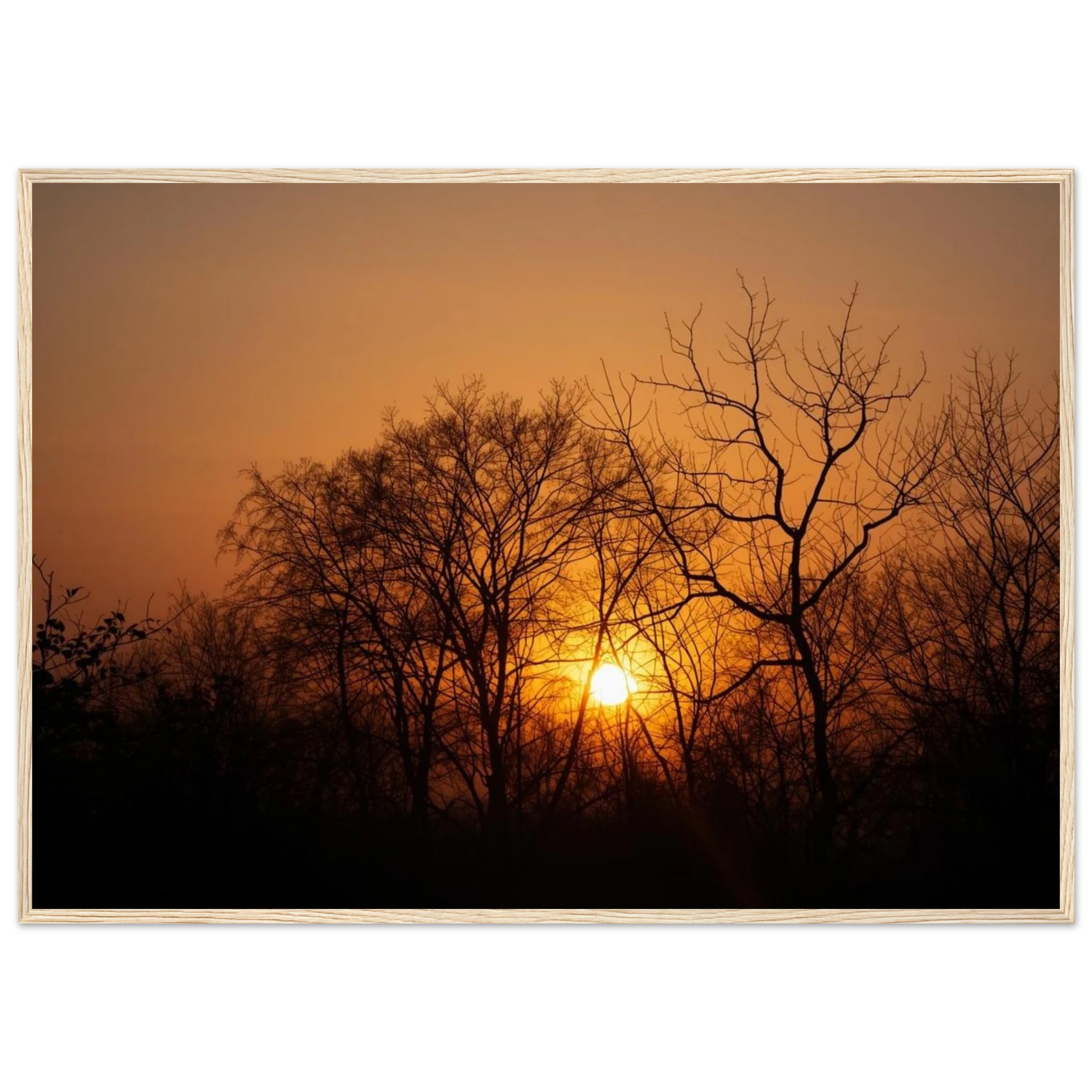 3d352007-fb31-4e42-ac78-9d51b08173bc