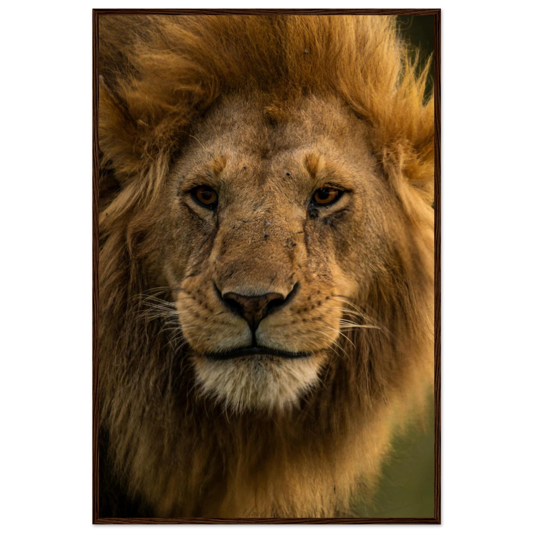 3d404300-bb9d-44ec-94bf-c552e8052190