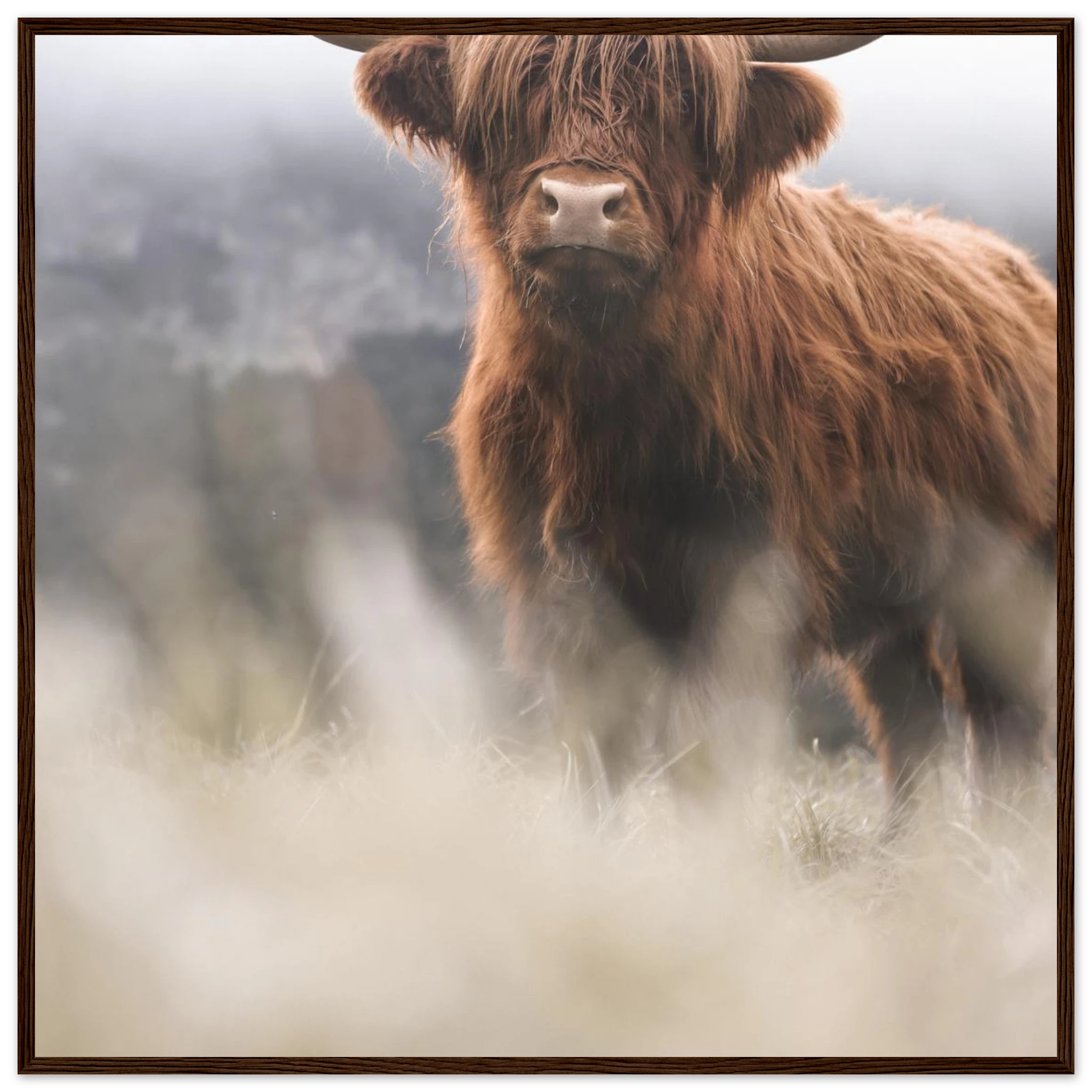 3d6ea1a6-05b9-42c4-94b9-8abe8e8e0df6