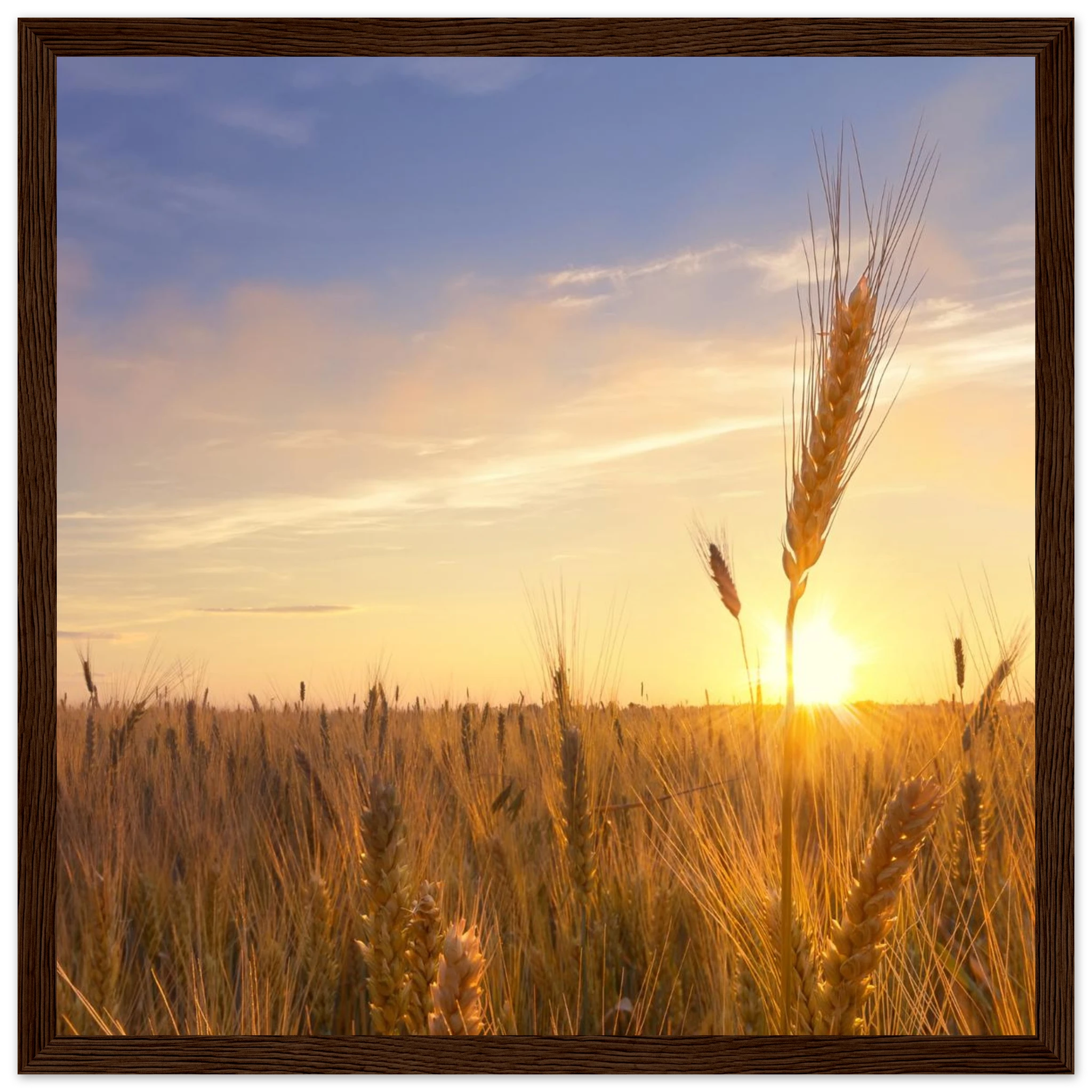 3da31399-e976-49a1-ad93-326f524b5bbf