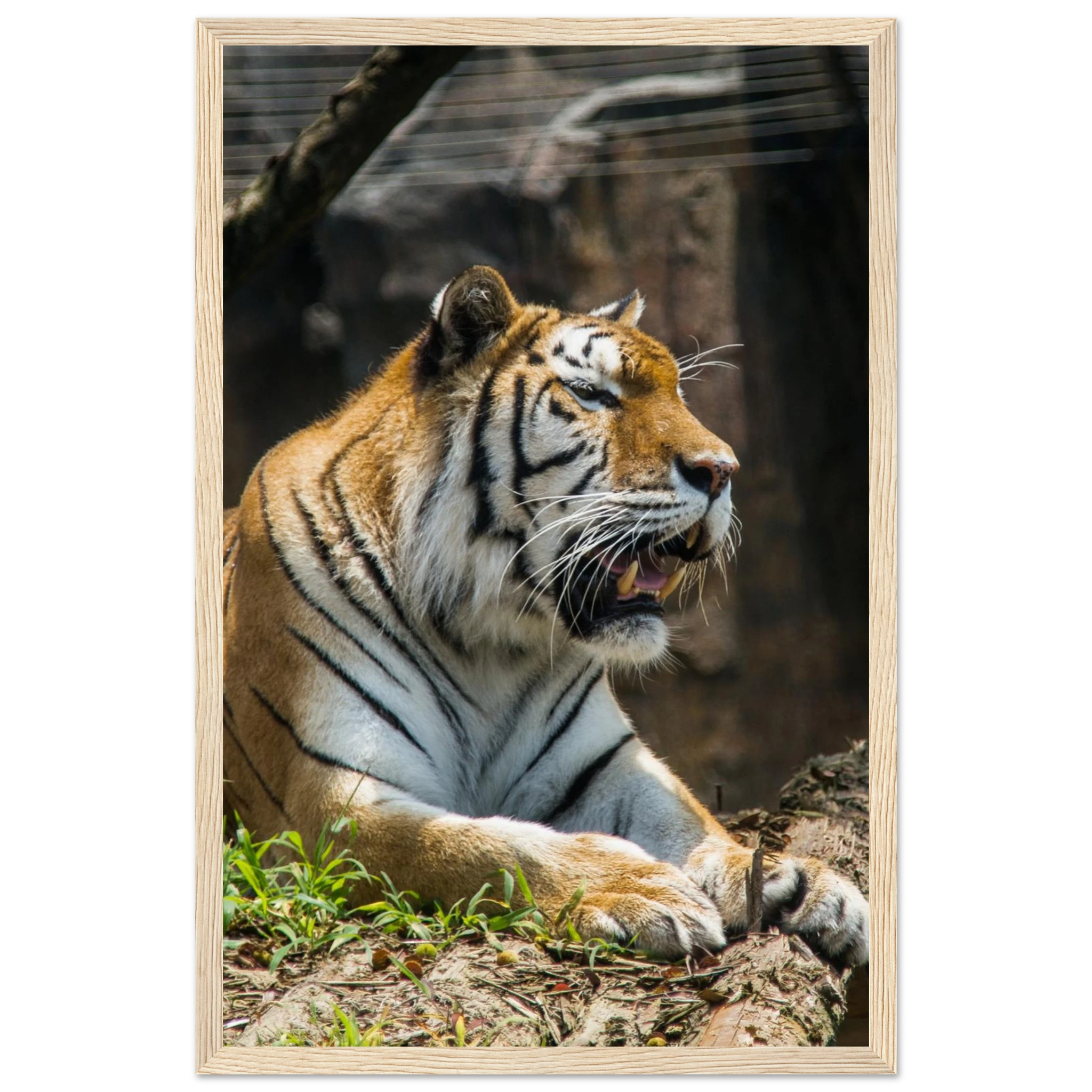 3db18b1d-180a-4e38-800b-7b7affeb30f8