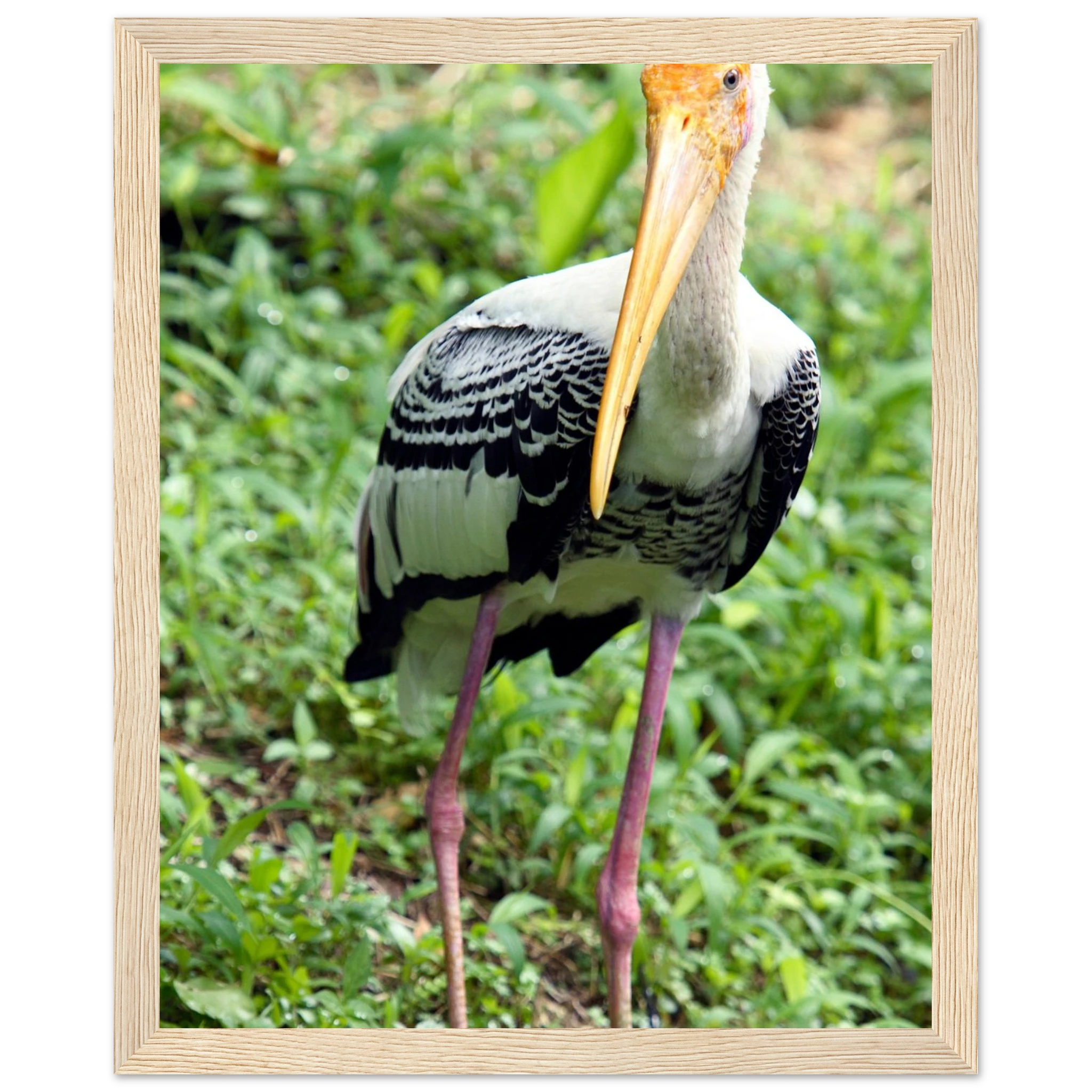 3dd59e84-e4ab-4d24-af72-09cb8ecdf8f3