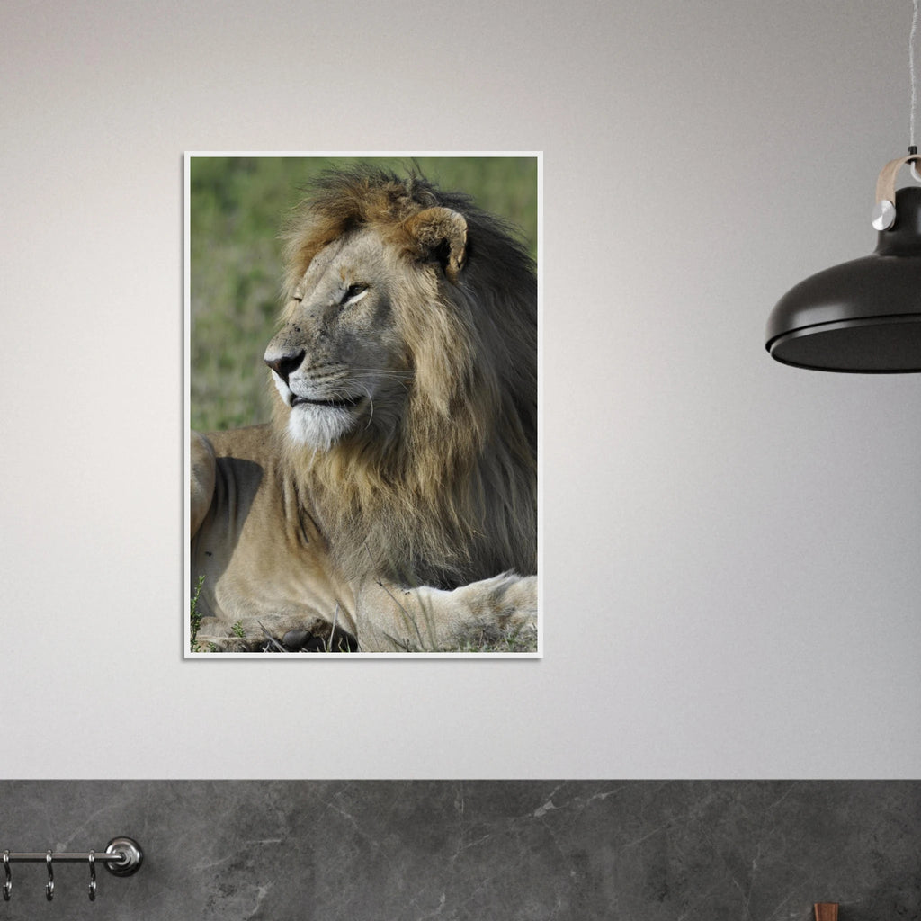 3e1920e9-86f3-4b17-bde8-3ed70d4a43f3