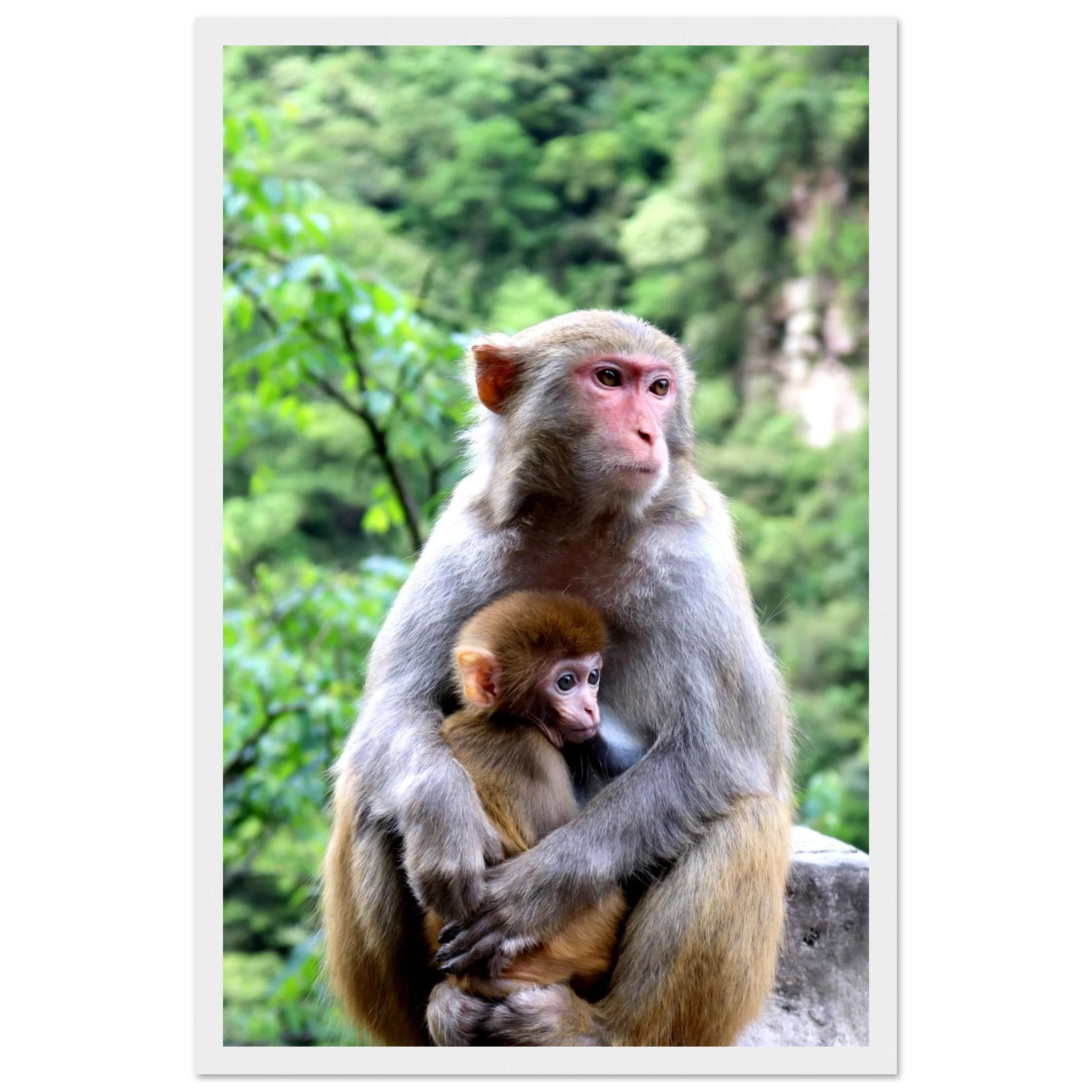 3e32a48b-3888-49ac-8f82-289811f2e370