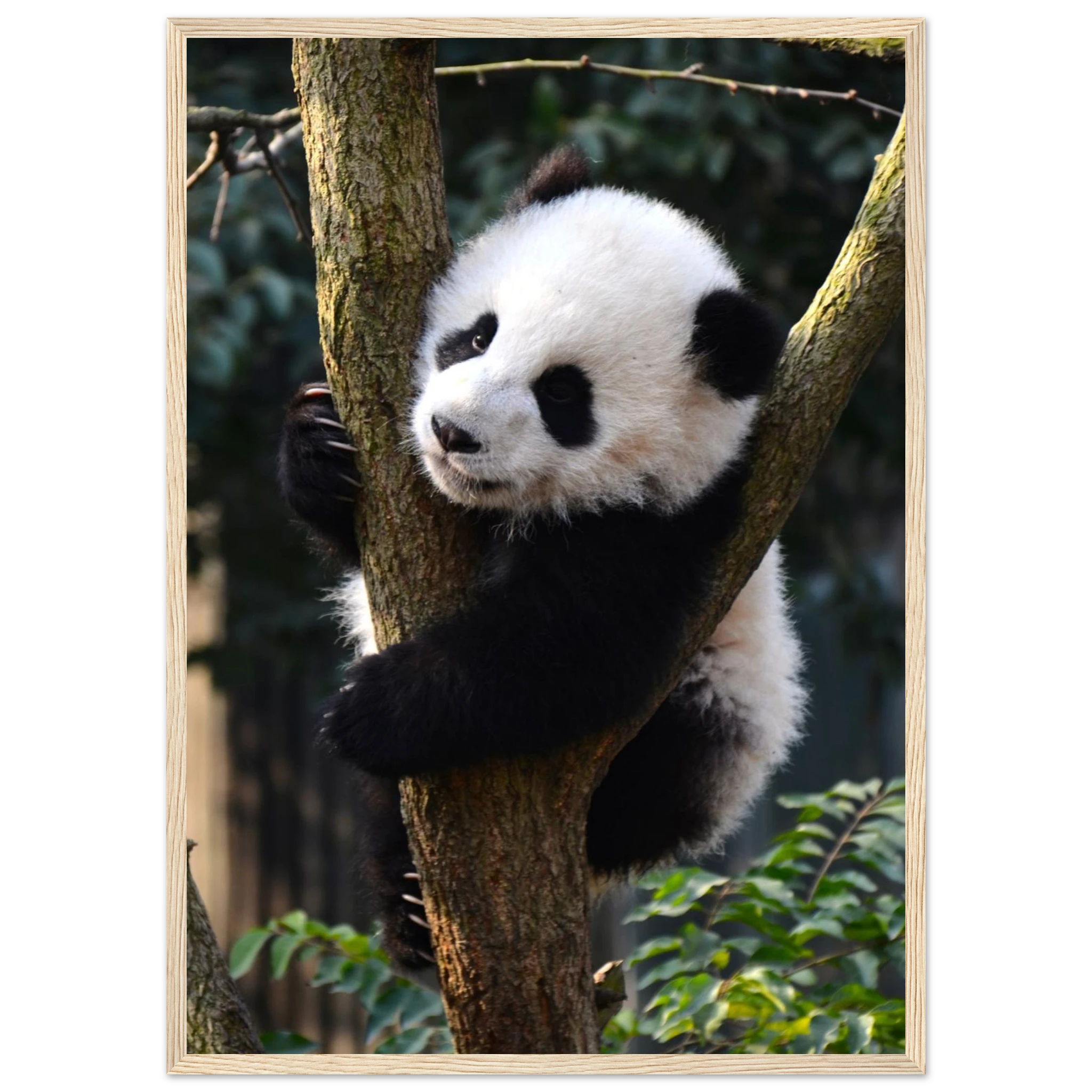 3e407e6d-d396-4f33-8b39-195ae0144bc5