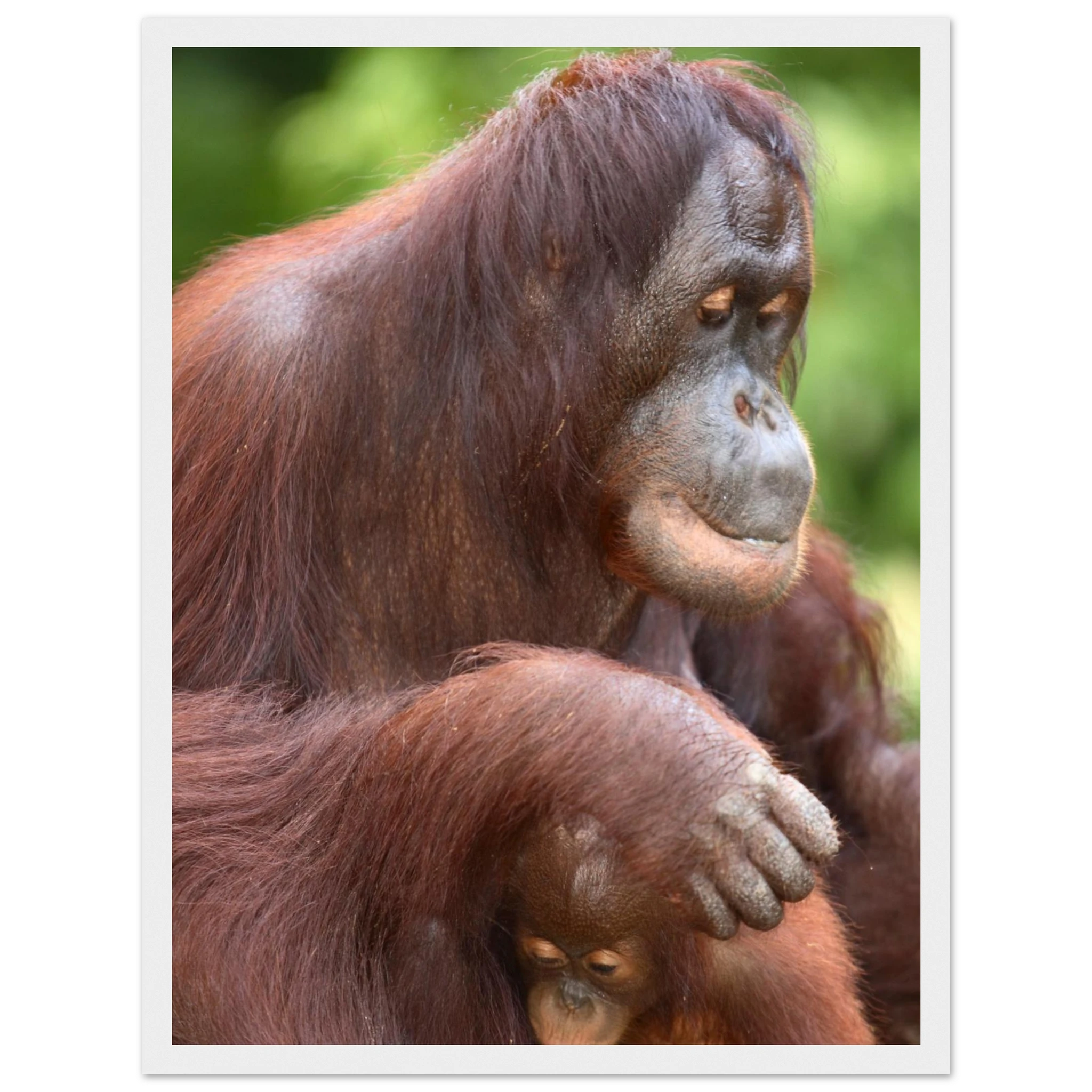 3e40b600-dea1-41fb-8d00-f414bb889173