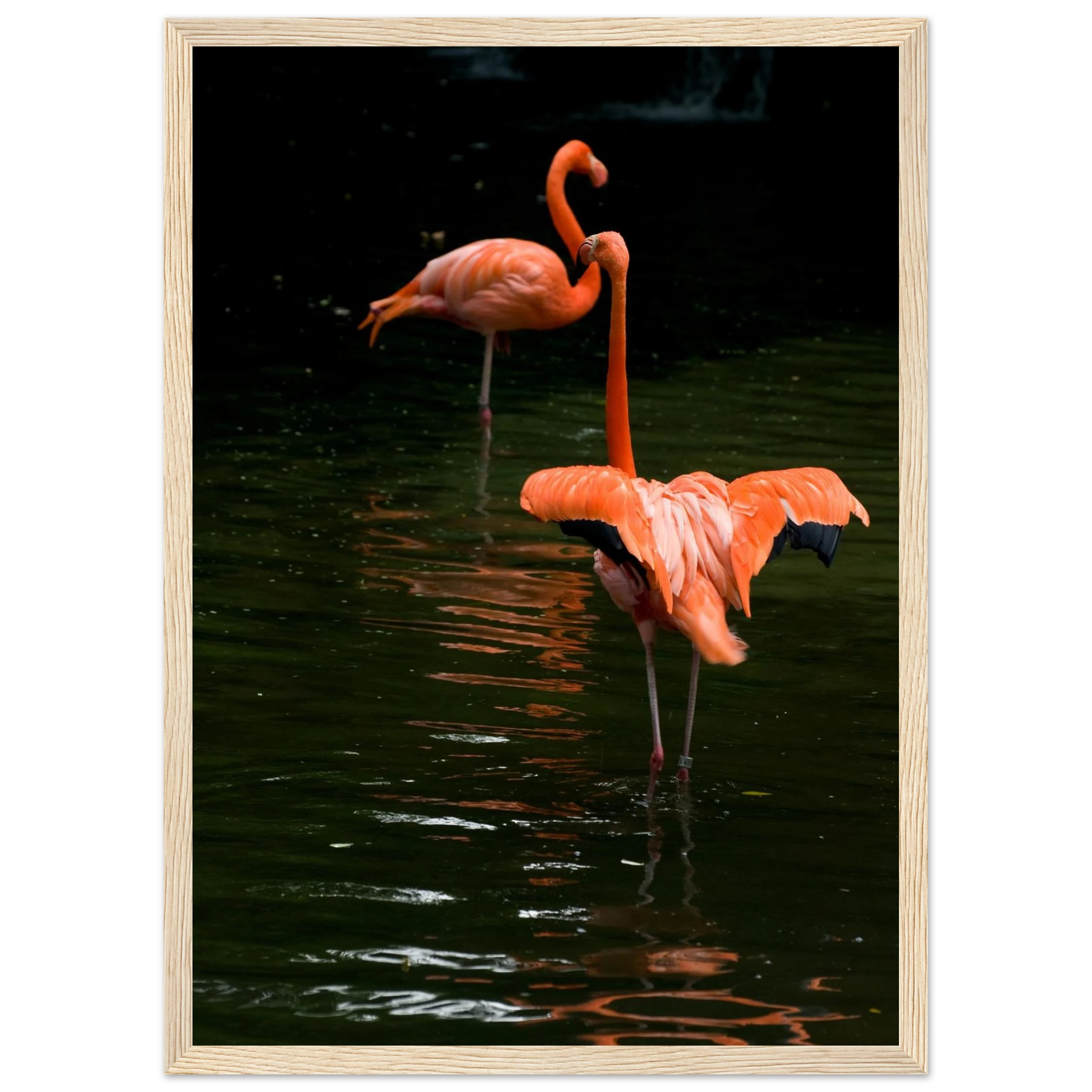 3e41e274-0bd8-427a-88d9-0a5847a0c463