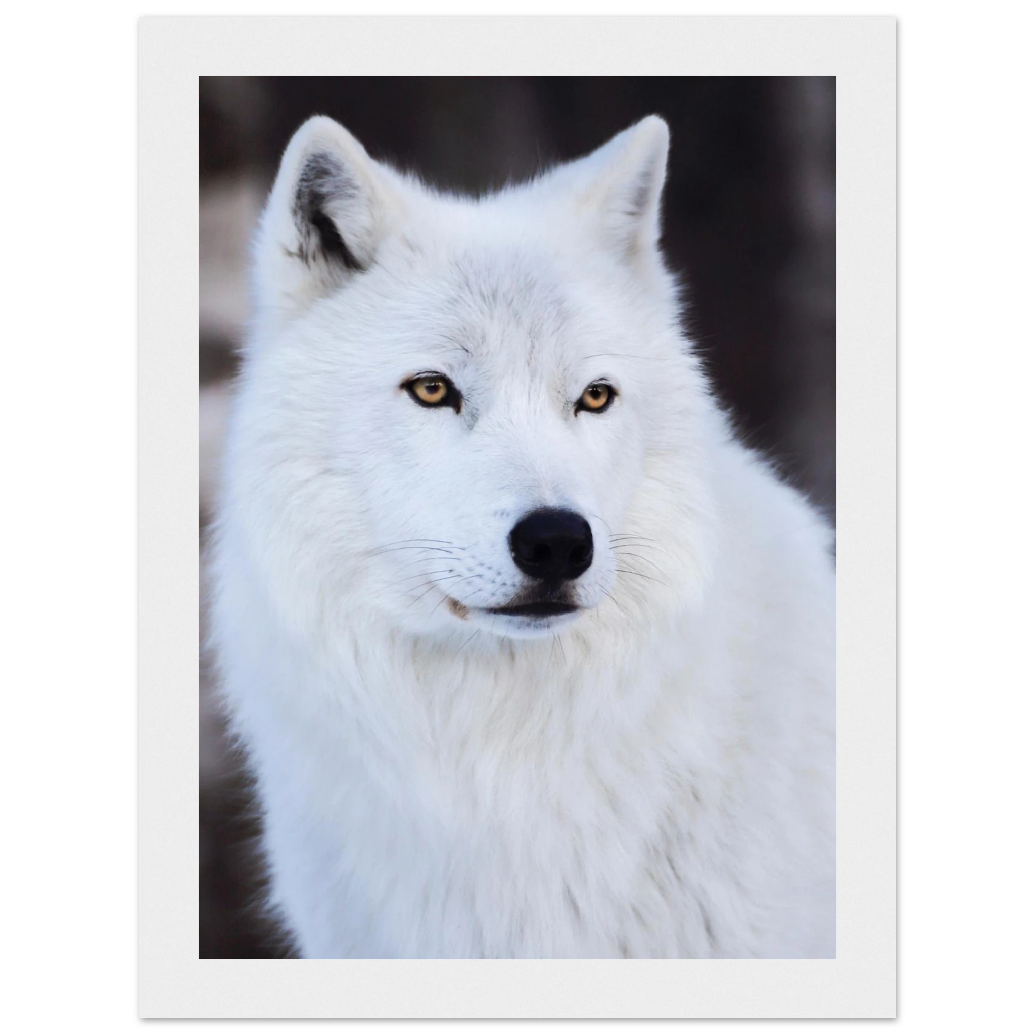 3e58d766-cd60-465a-984b-873ad386a8d1