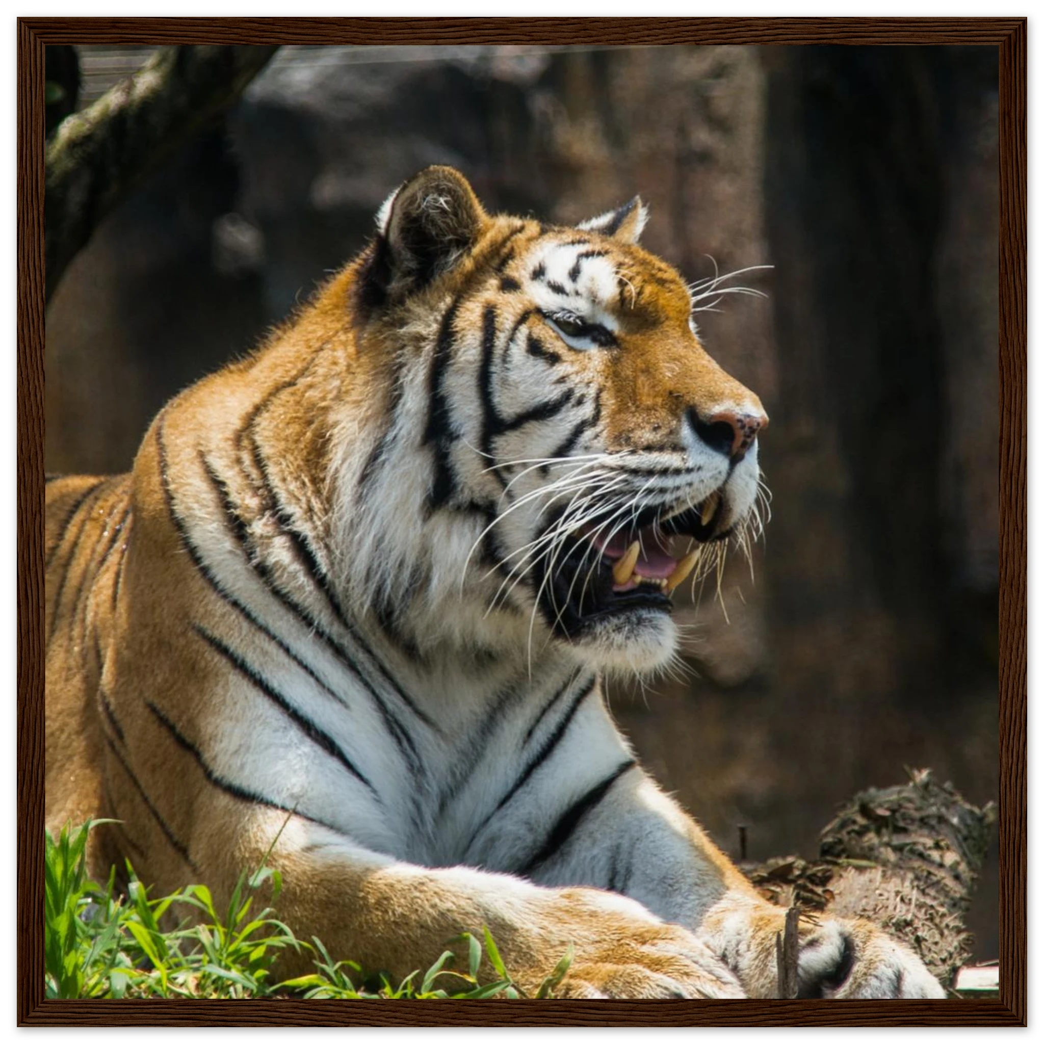 3e5e66b7-4f8a-4ea1-929e-b8246a8d4c1e