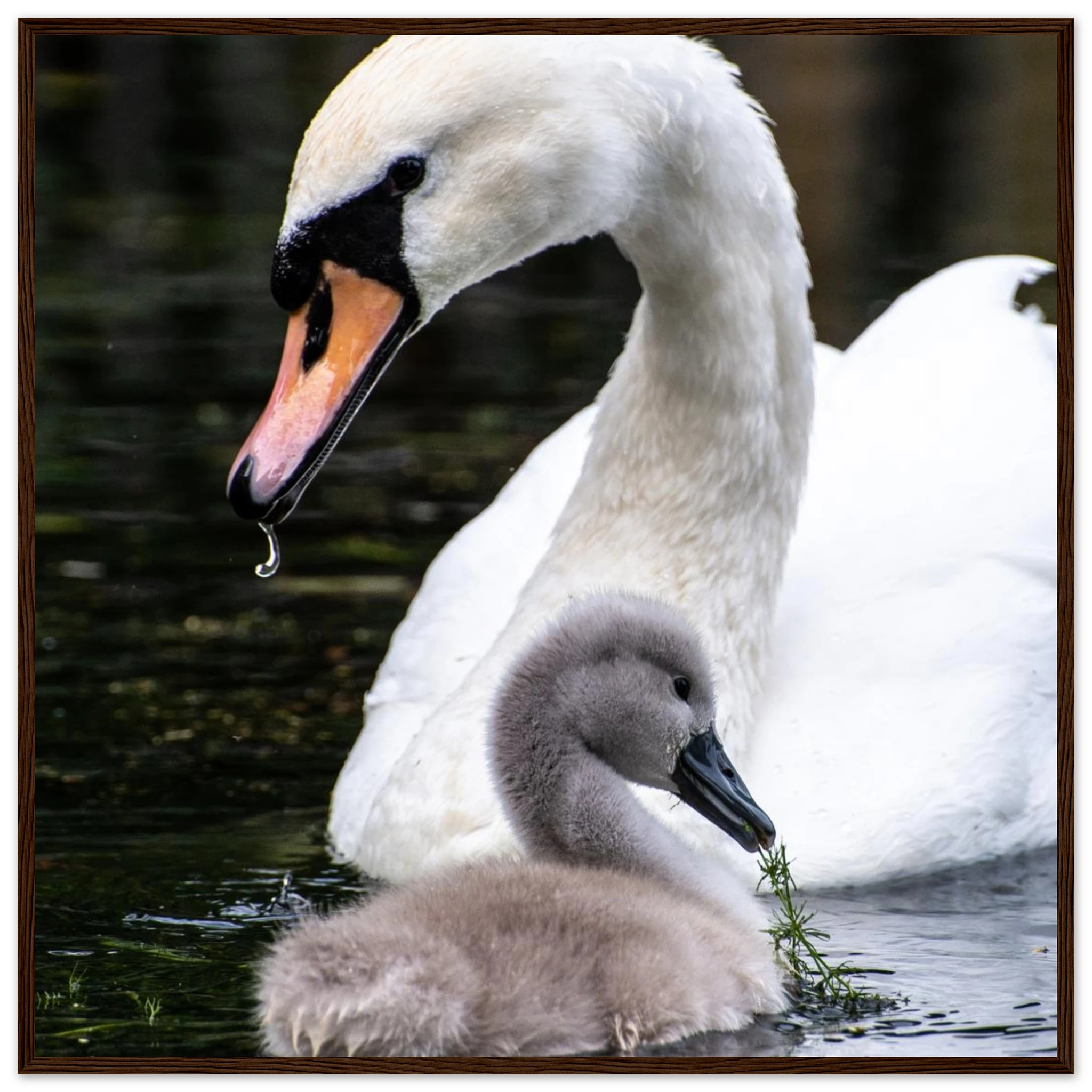 3e66317f-d461-4c55-80cc-d9a917cbdfdc