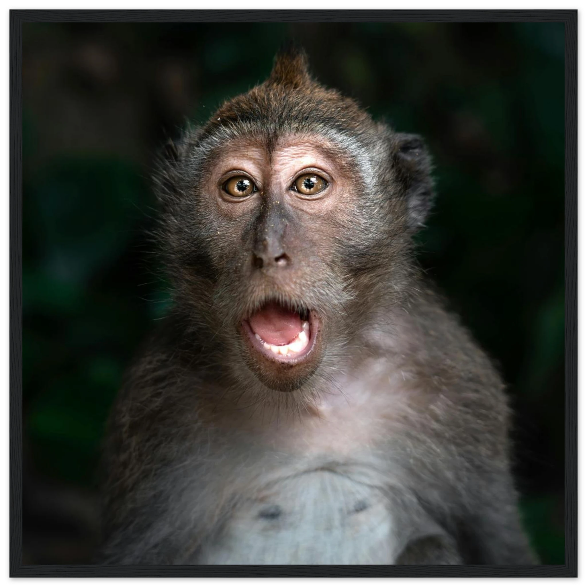 3e747ee7-5c03-4cbb-a86a-77c3d68bccb9