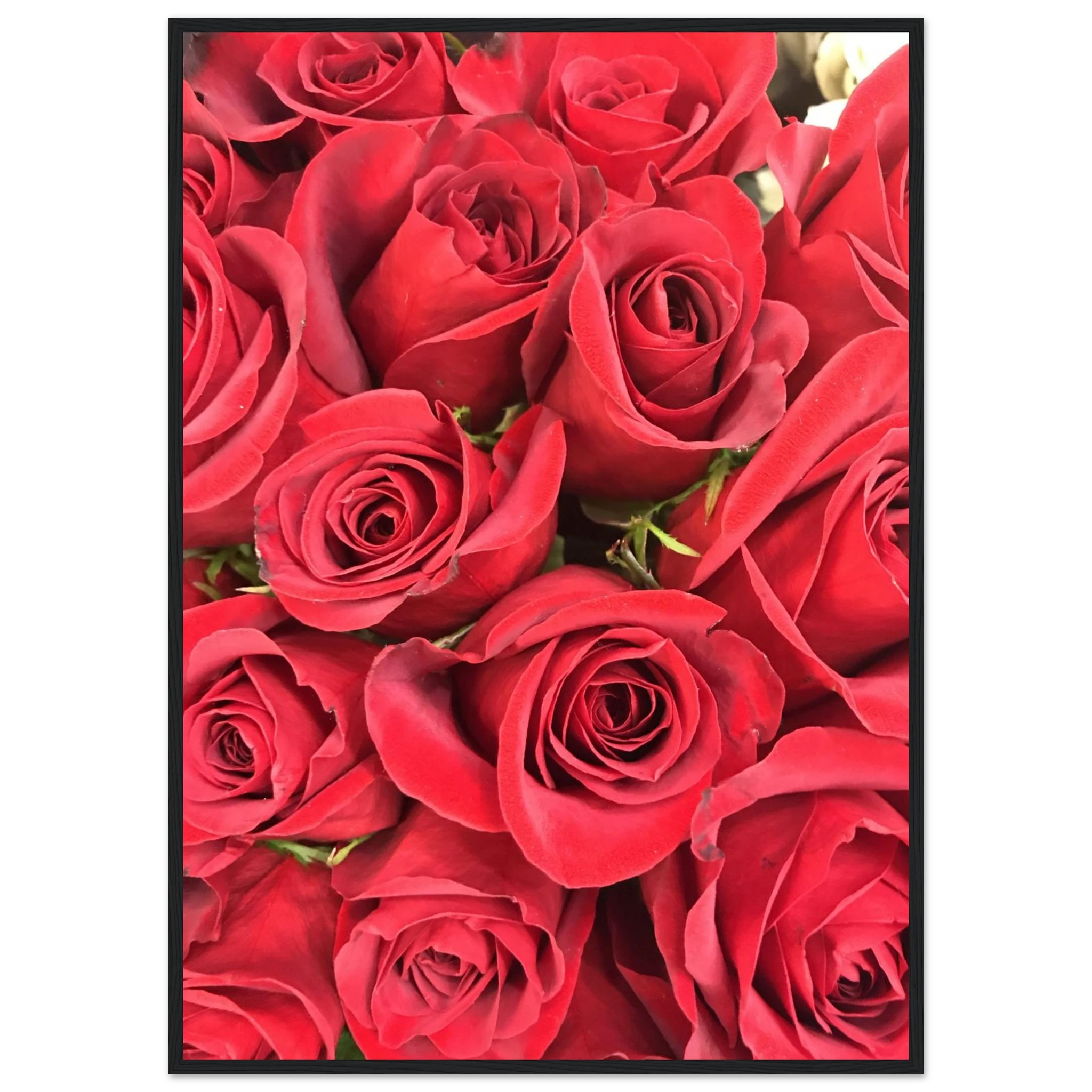 3e76cd8b-4f43-4ad1-8248-5730771b0c9c