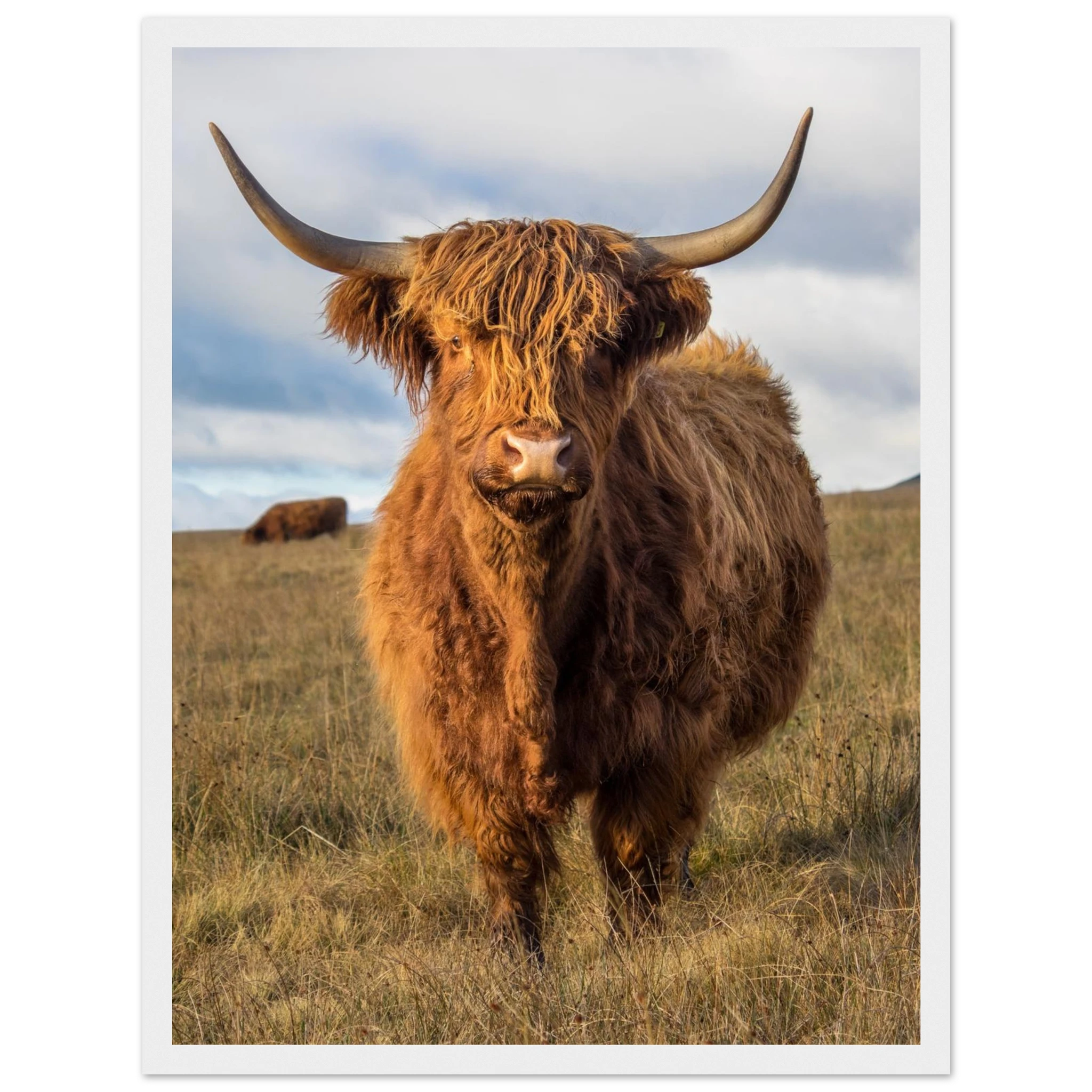 3ec0f725-049e-4527-a6a3-7a6545342f61