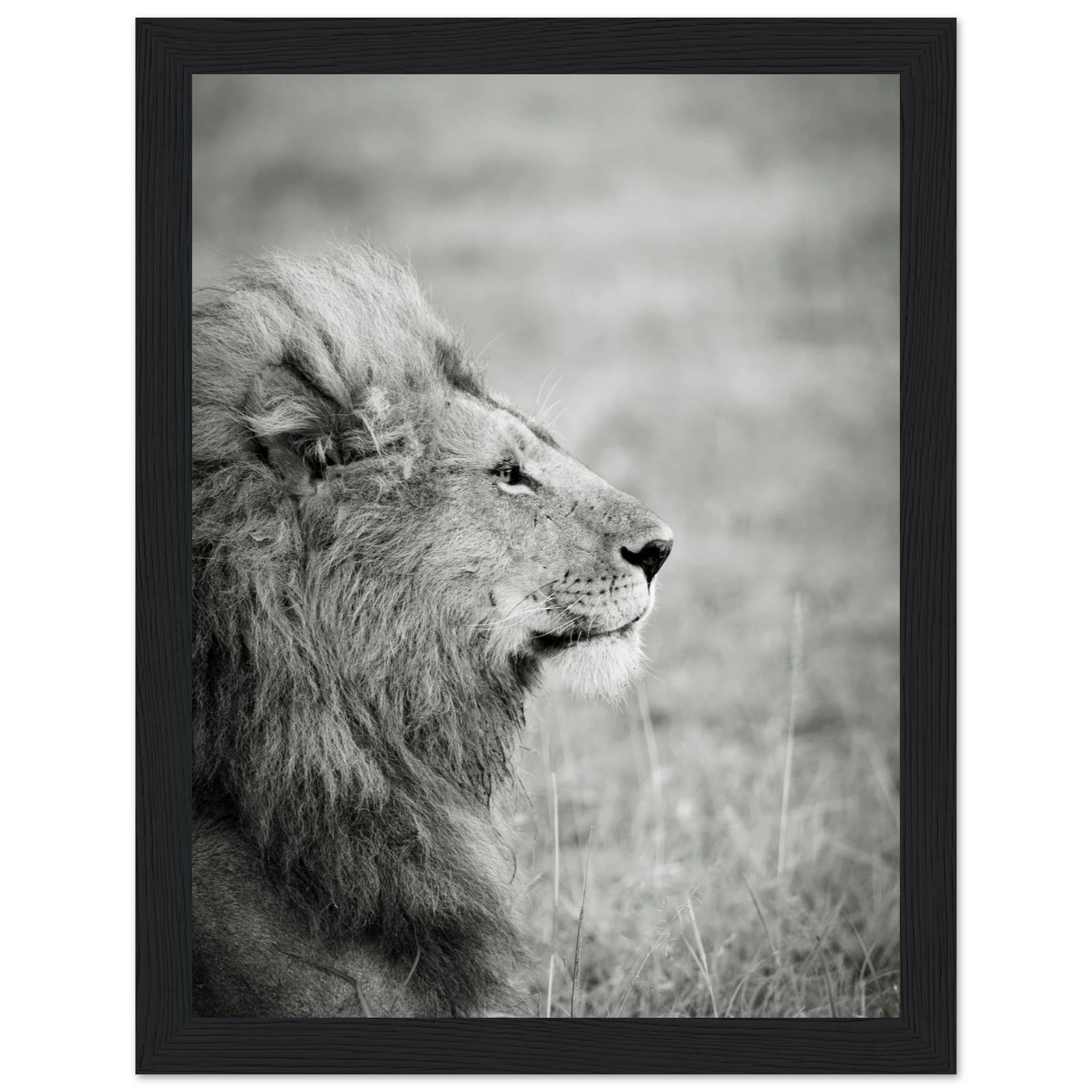 3ef7c428-7301-4006-a741-7ba5ba055d17