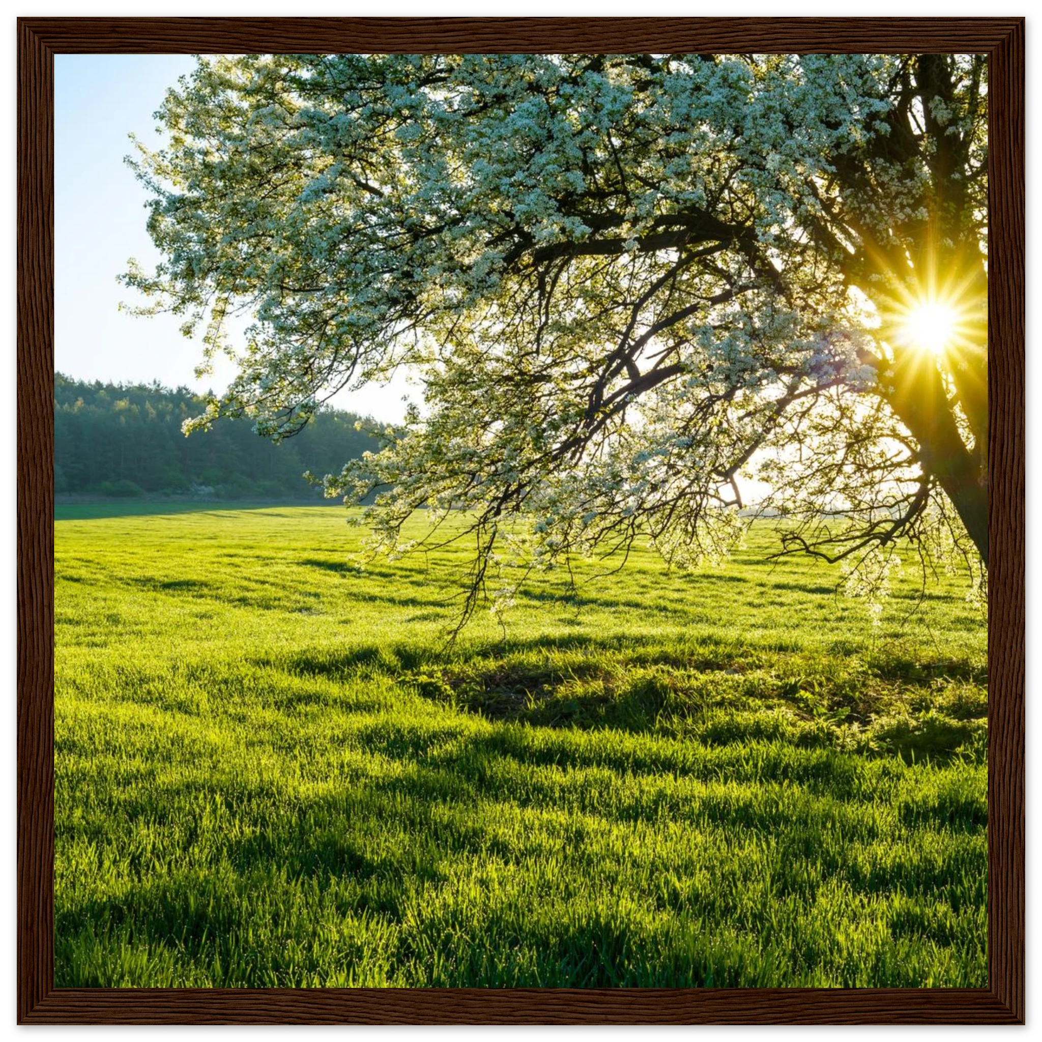 3f0031de-9600-413c-804d-71272f59a3ac