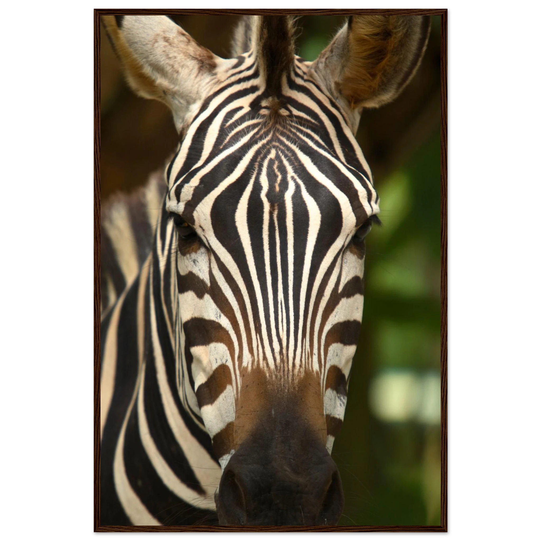 3f32a8b5-ee0c-444e-a198-c0f697316e4c