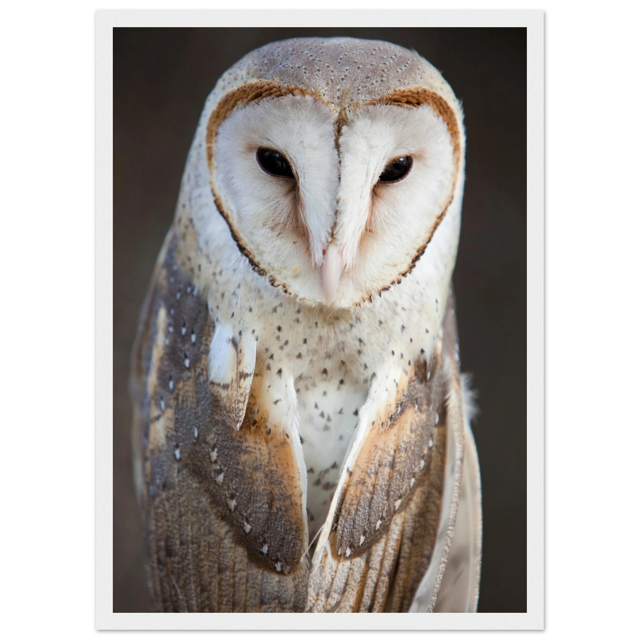 3f8681ed-5845-496f-8d6f-9d382179c7e6