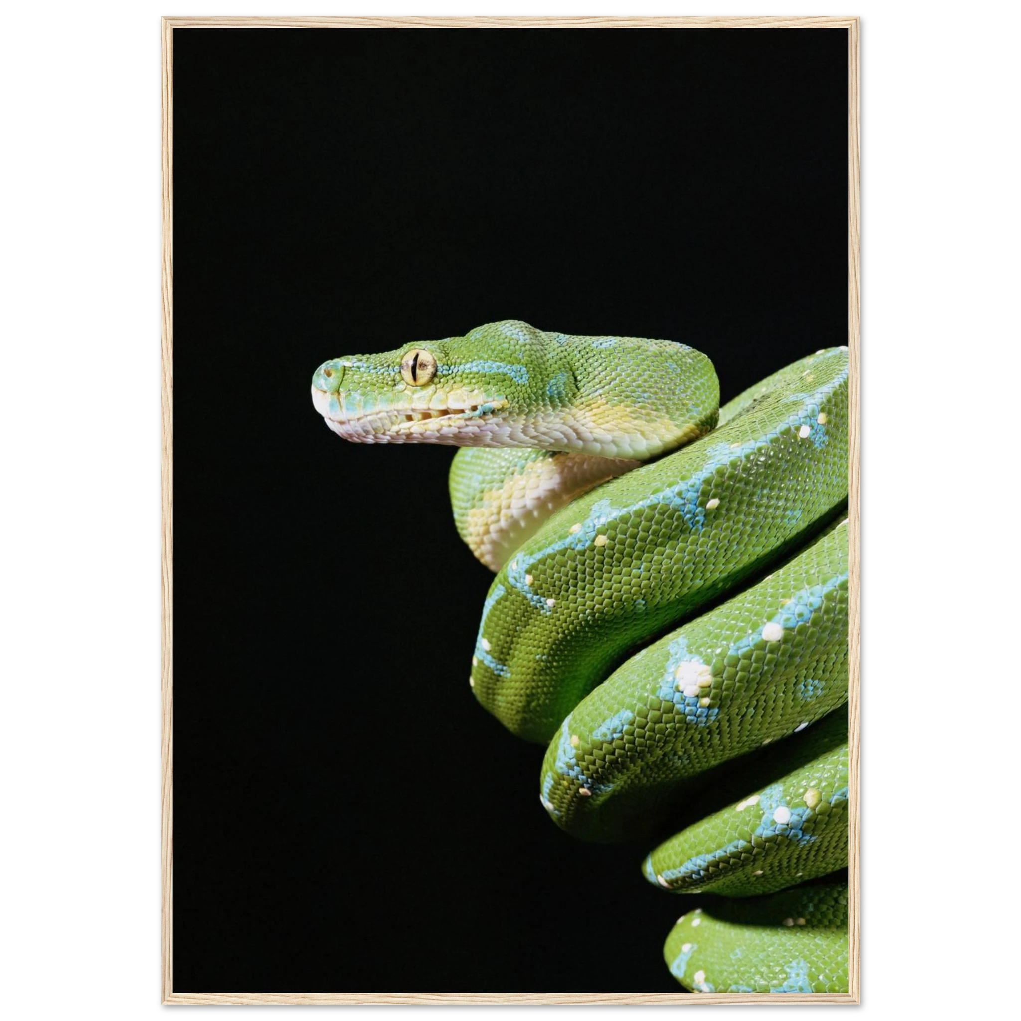 3f8ac7ed-e671-4fa7-b93f-3156a0a8a77e