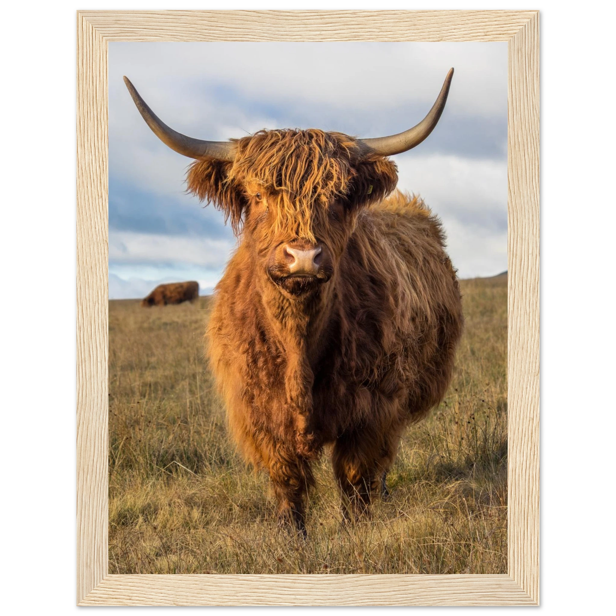 3fa53e7c-fca3-4c5e-be83-35d09ea4e03c