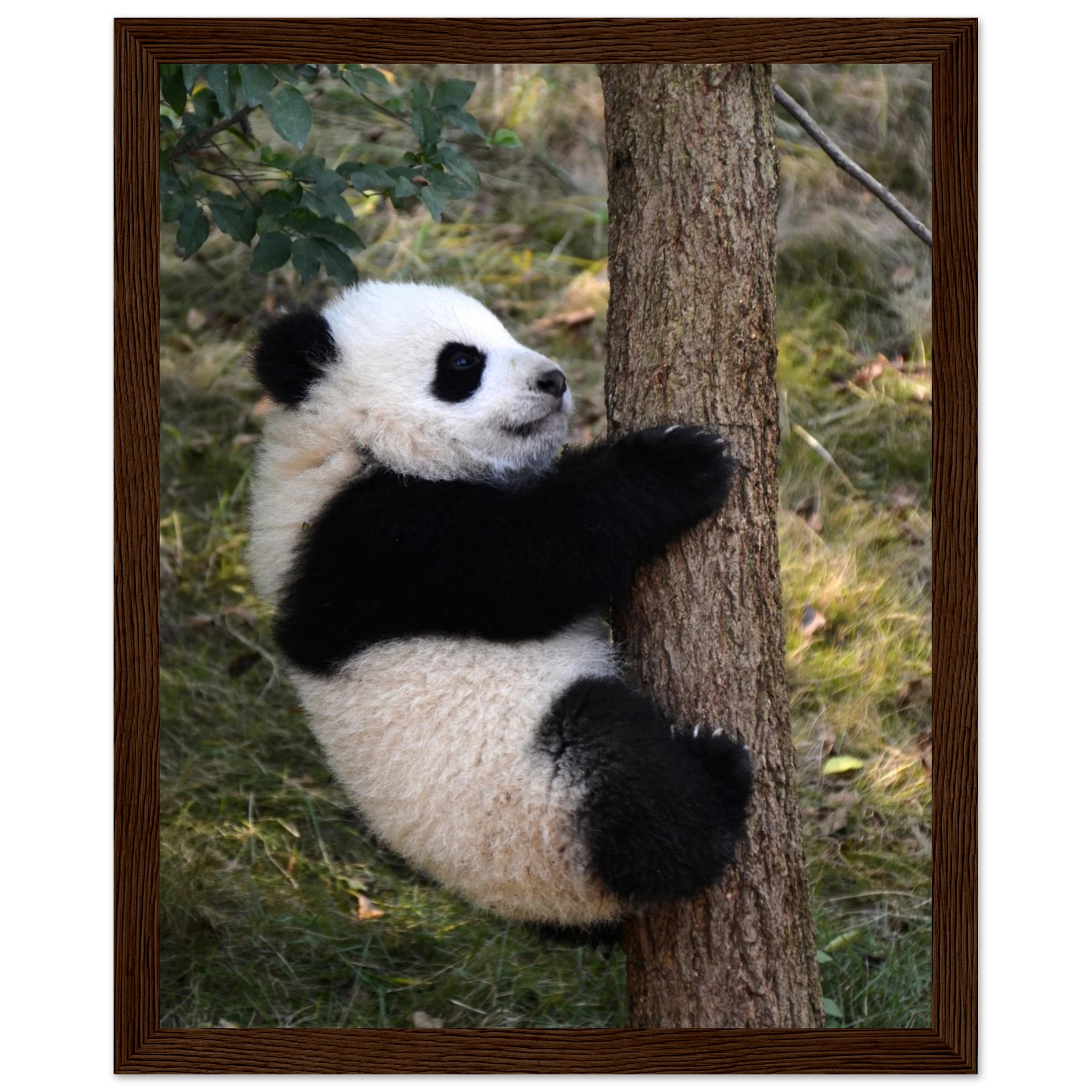 3faba138-2a65-4b8b-9182-7eae53061828