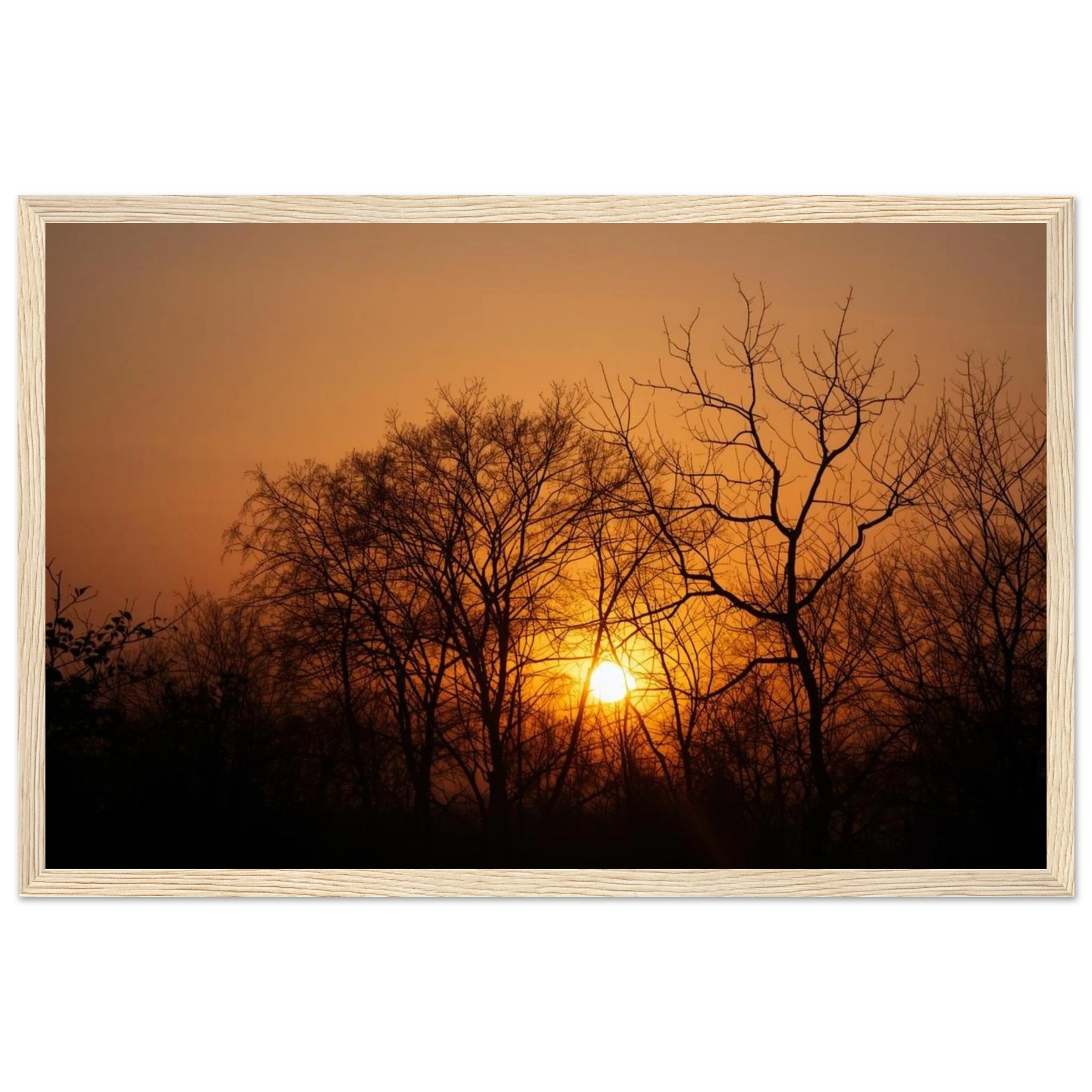 40053a5c-44ca-48f4-b036-bdb85c87d4f8