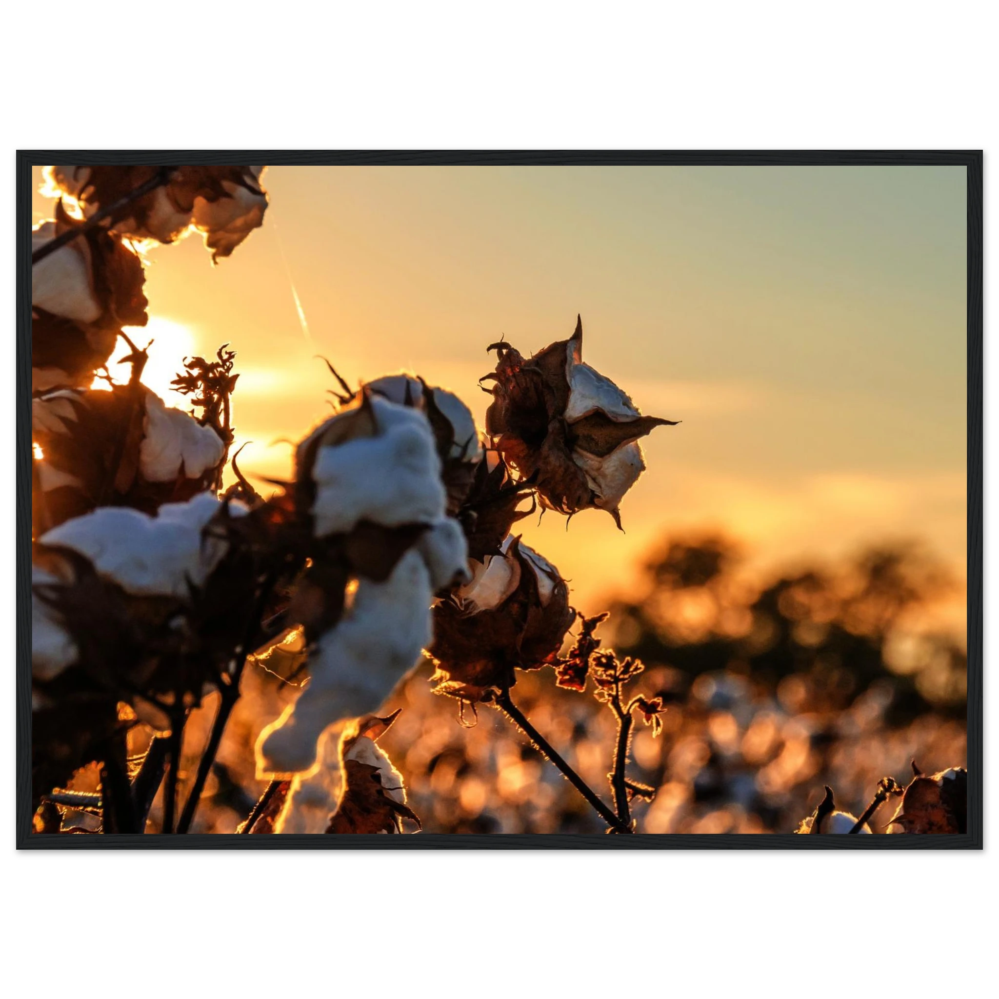 40090dcf-51ef-4905-a596-d4b33dbcc185