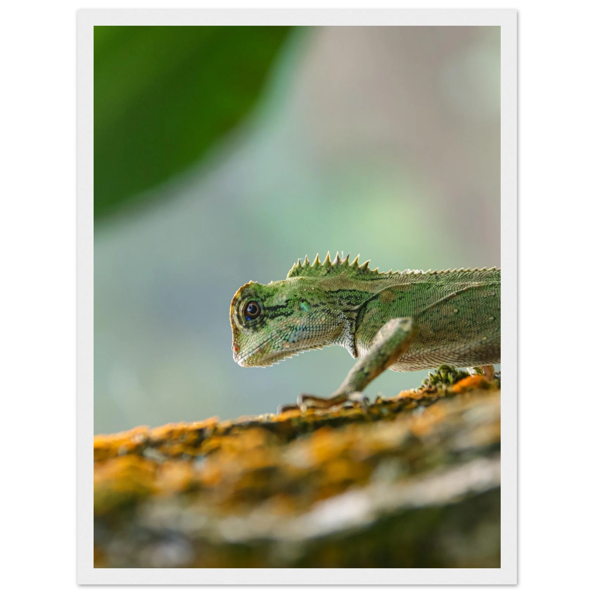 400ad2b9-1d8b-4d18-99c1-972dc24a5833