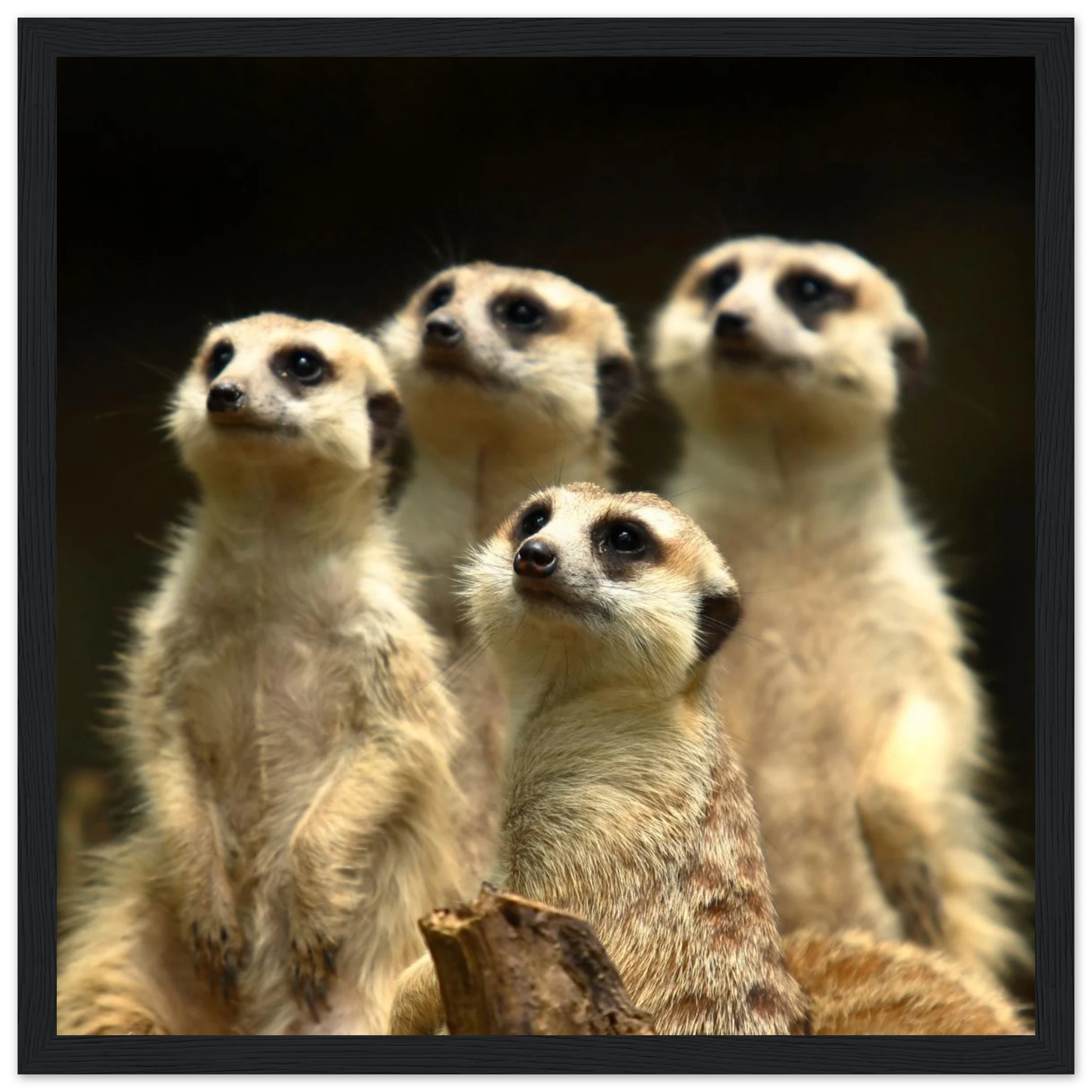 4015a4cf-75fd-4cb4-b0ef-efec71912314